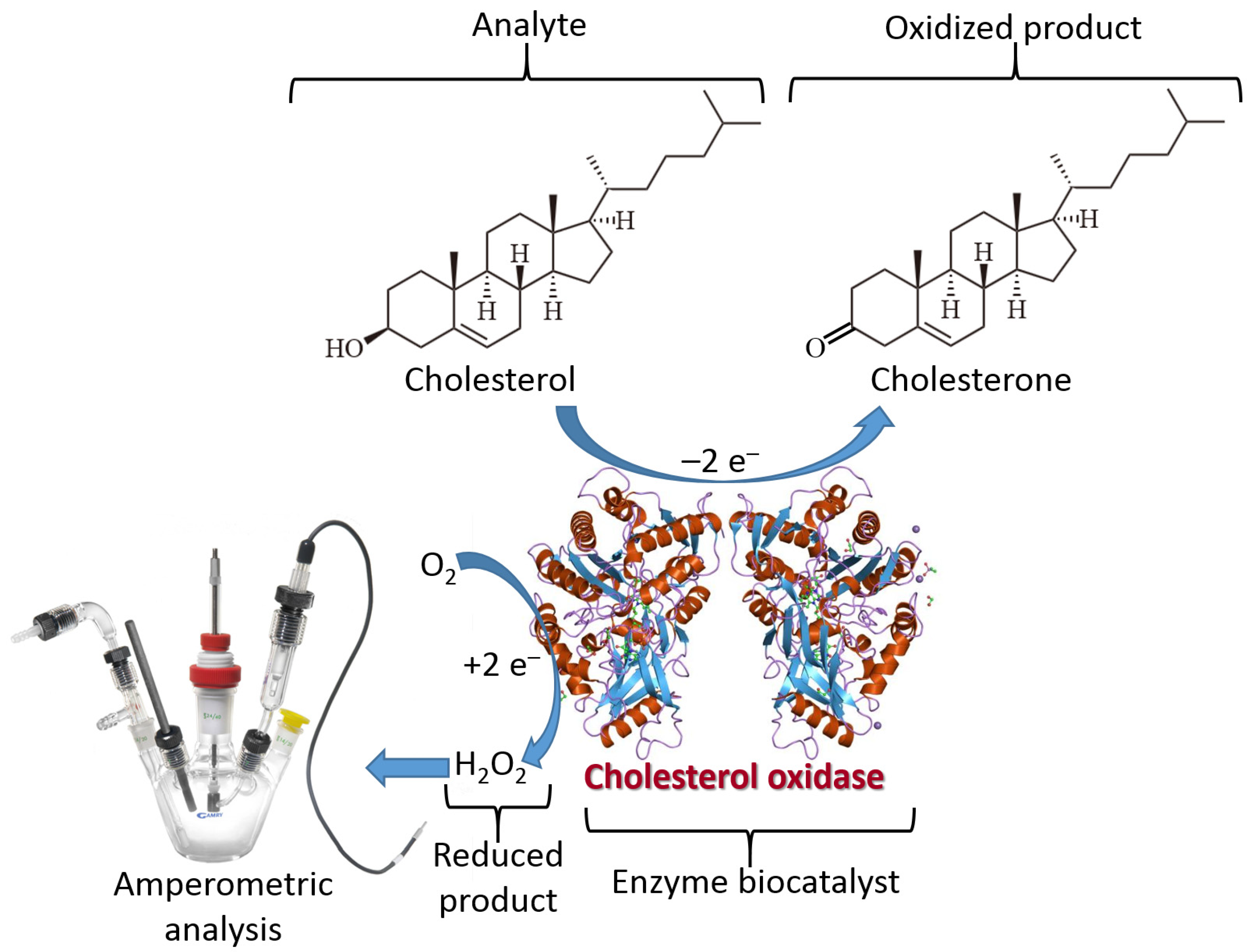 Biosensors 13 00044 g003 Biosensors 13 00044 g003