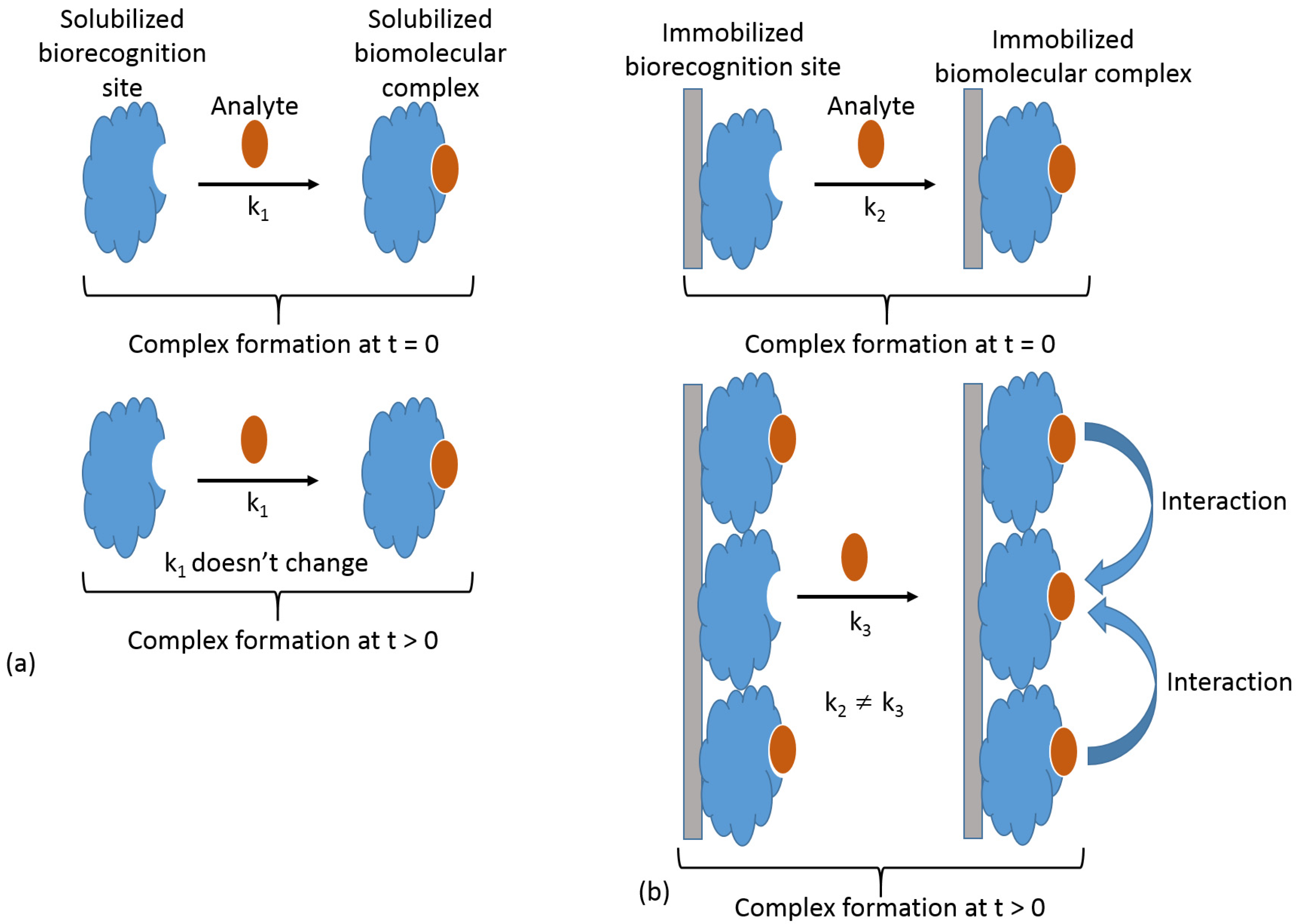 Biosensors 13 00044 g006 Biosensors 13 00044 g006