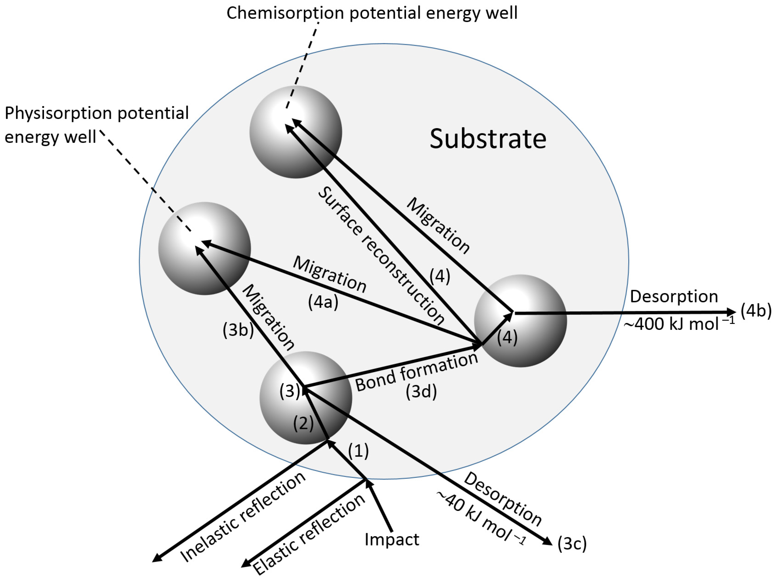 Biosensors 13 00044 g008 Biosensors 13 00044 g008