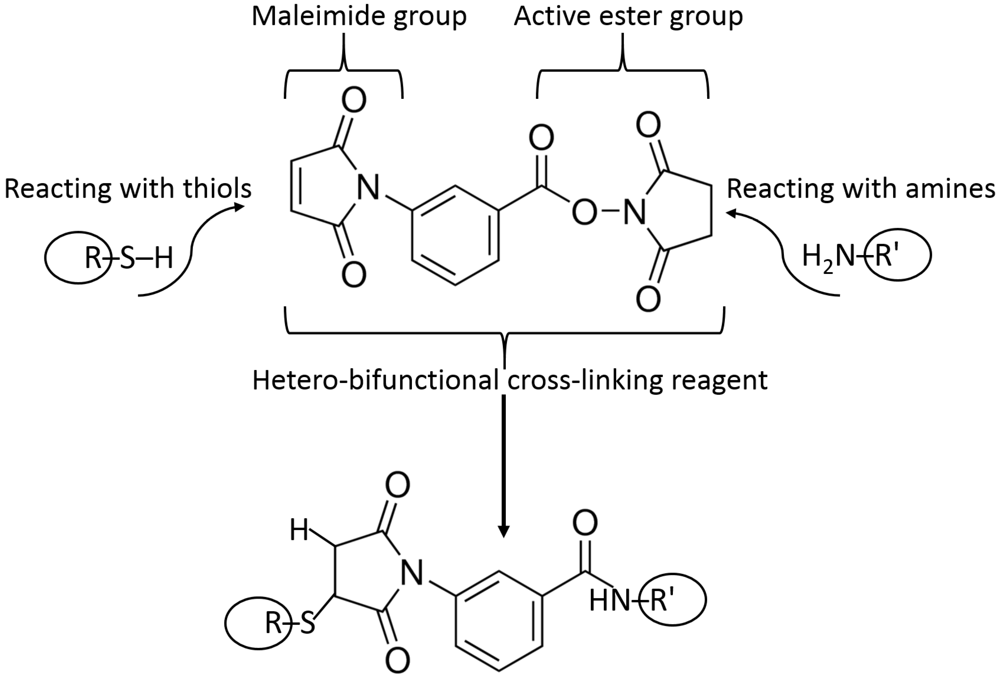 Biosensors 13 00044 g011 Biosensors 13 00044 g011