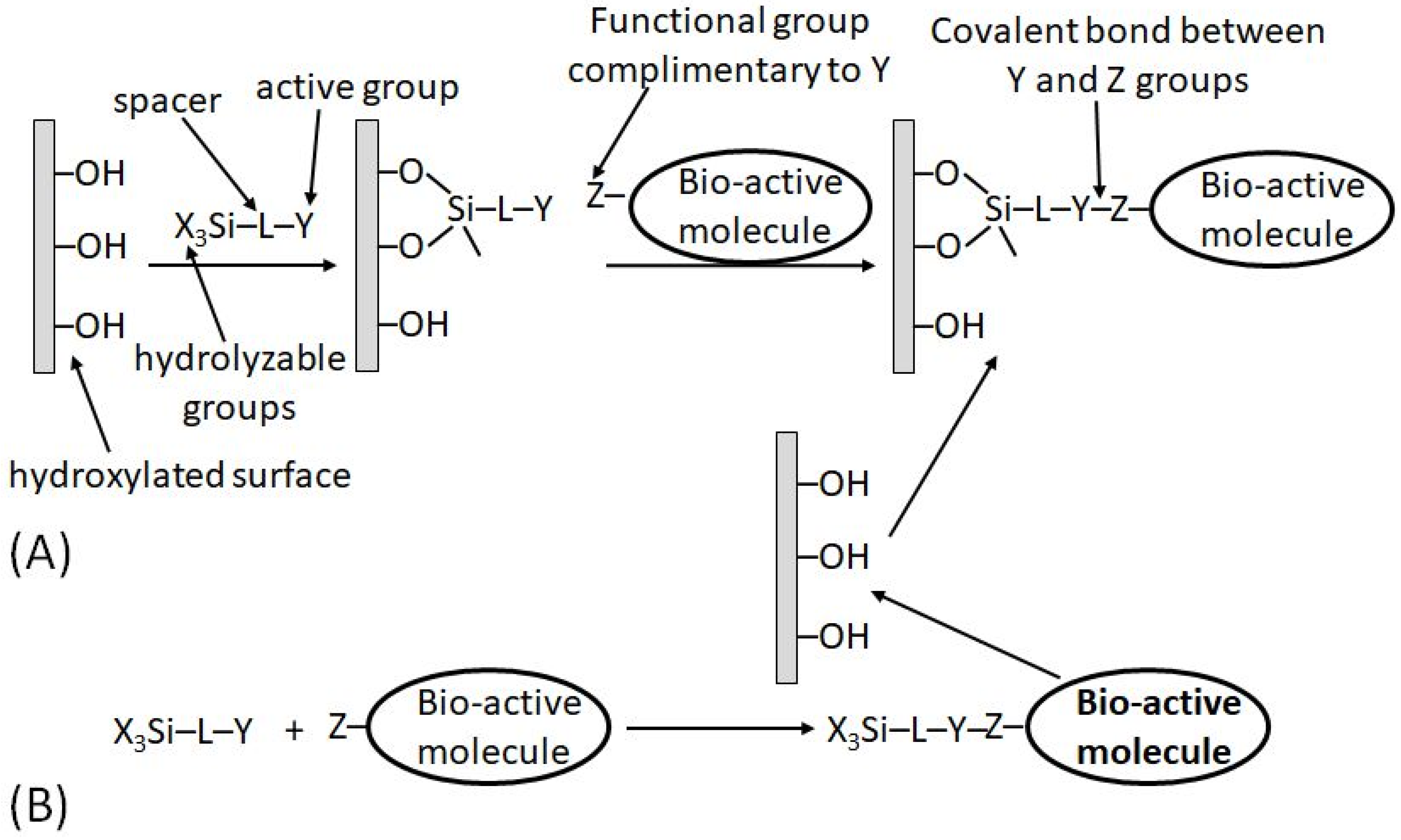 Biosensors 13 00044 g012 Biosensors 13 00044 g012