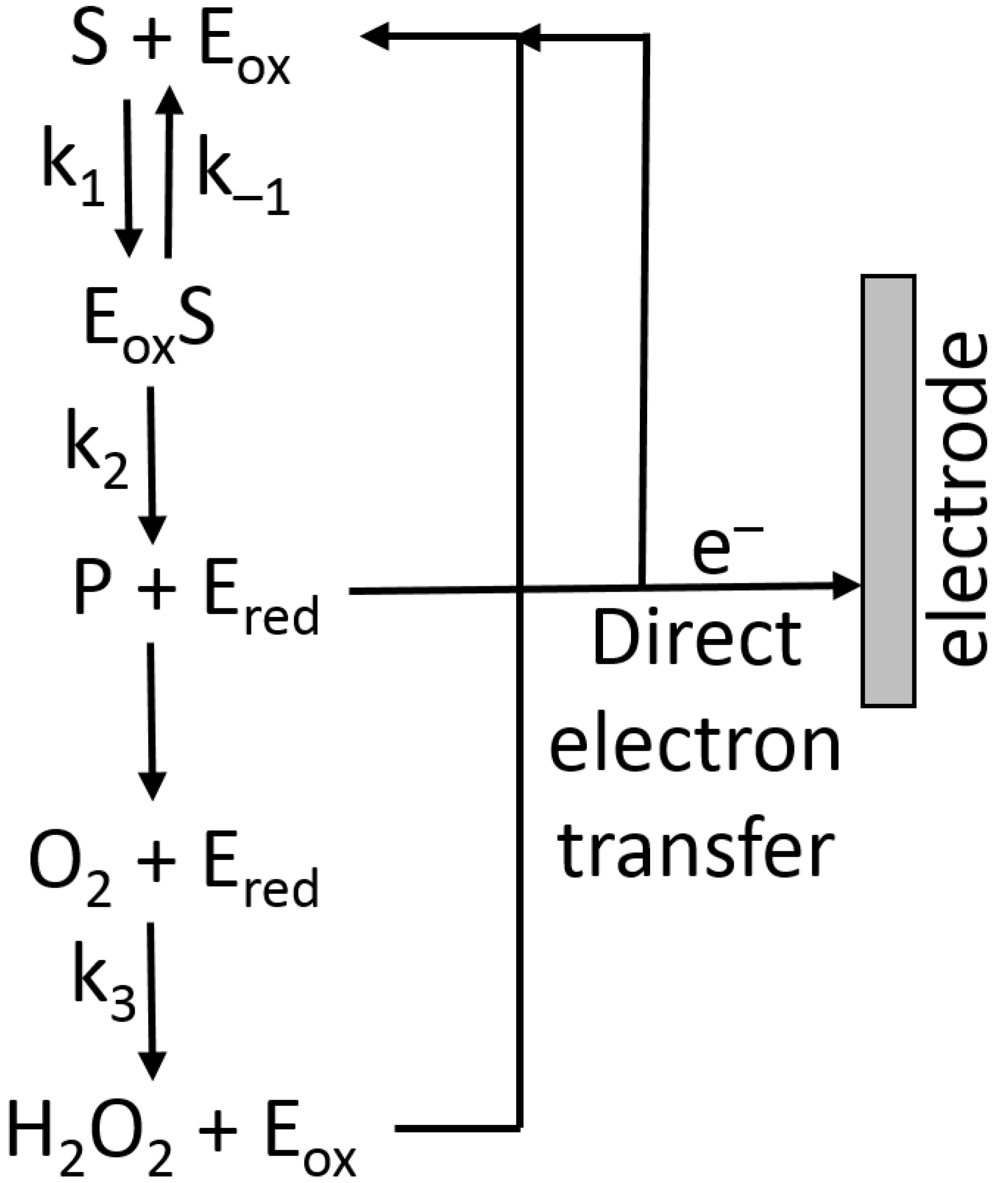 Biosensors 13 00044 g016 Biosensors 13 00044 g016