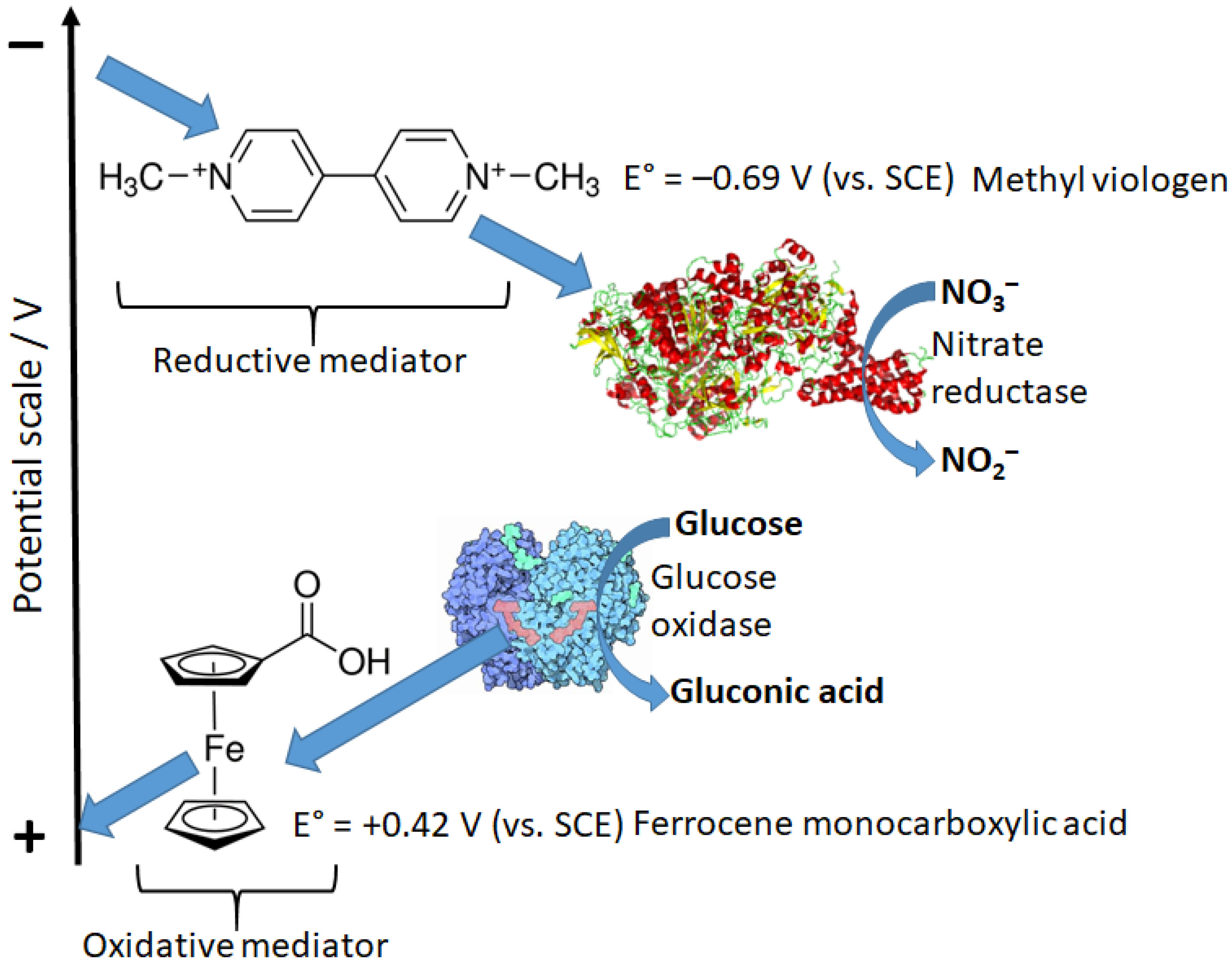 Biosensors 13 00044 g017 Biosensors 13 00044 g017