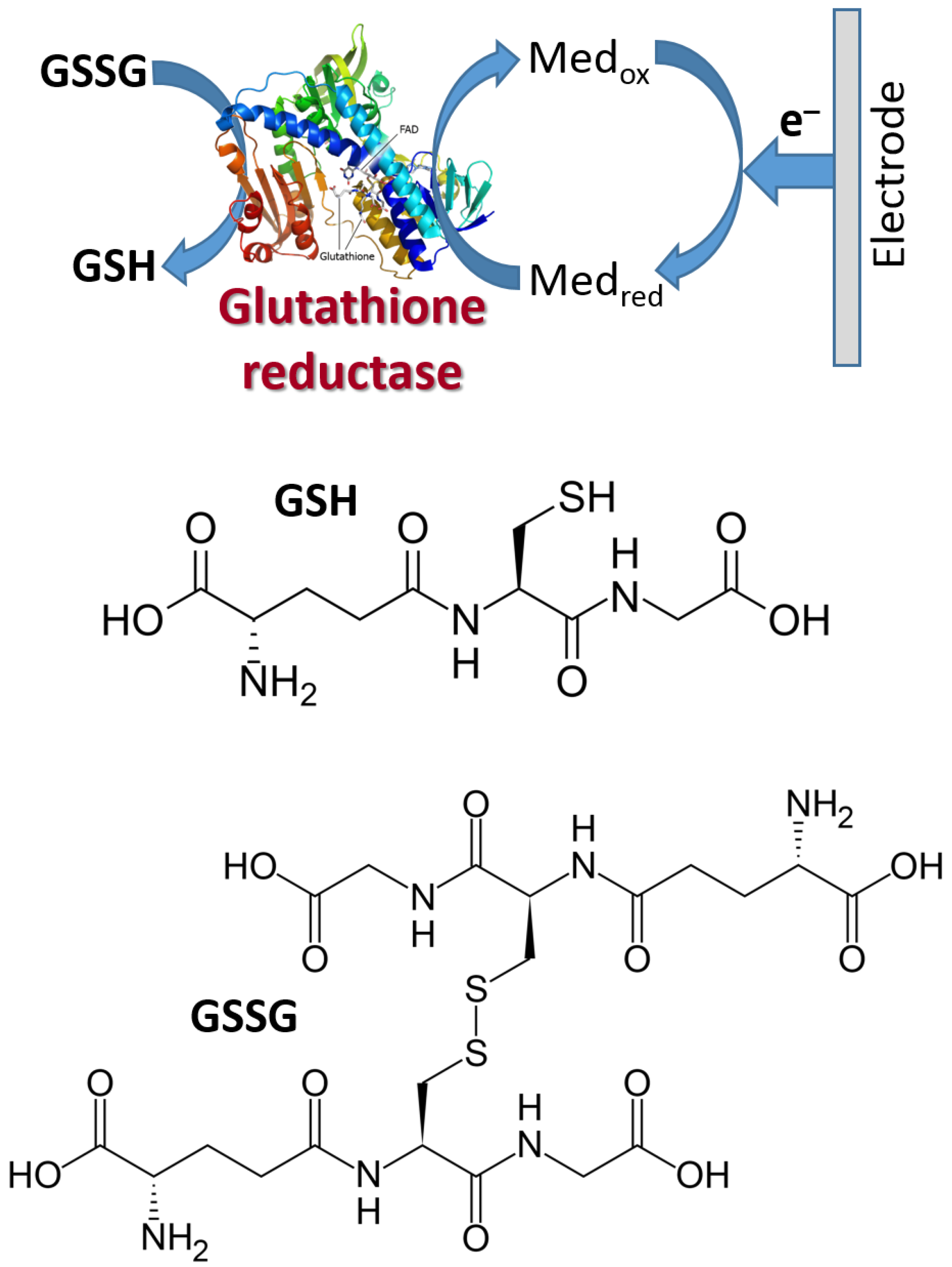 Biosensors 13 00044 g018 Biosensors 13 00044 g018