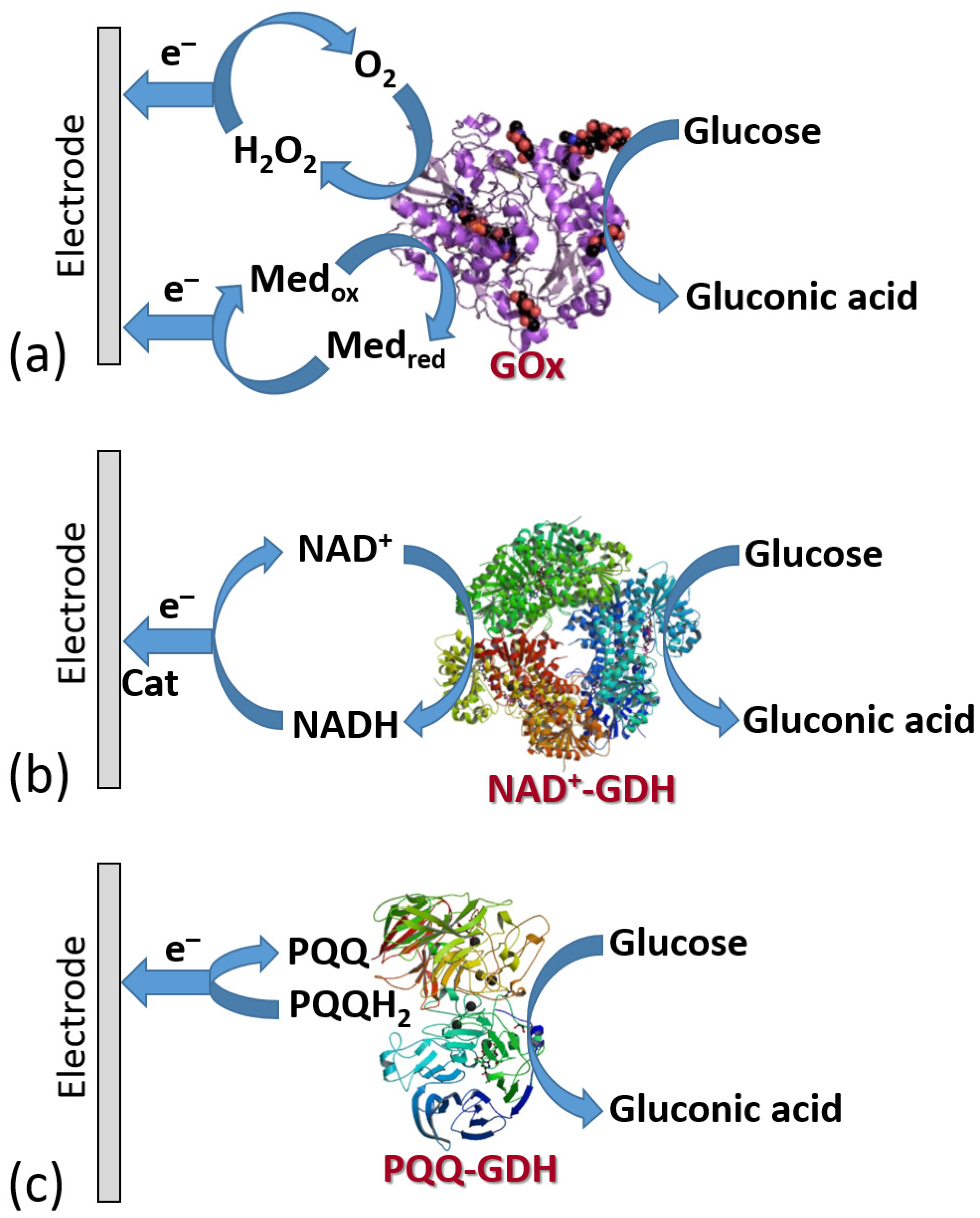 Biosensors 13 00044 g019 Biosensors 13 00044 g019