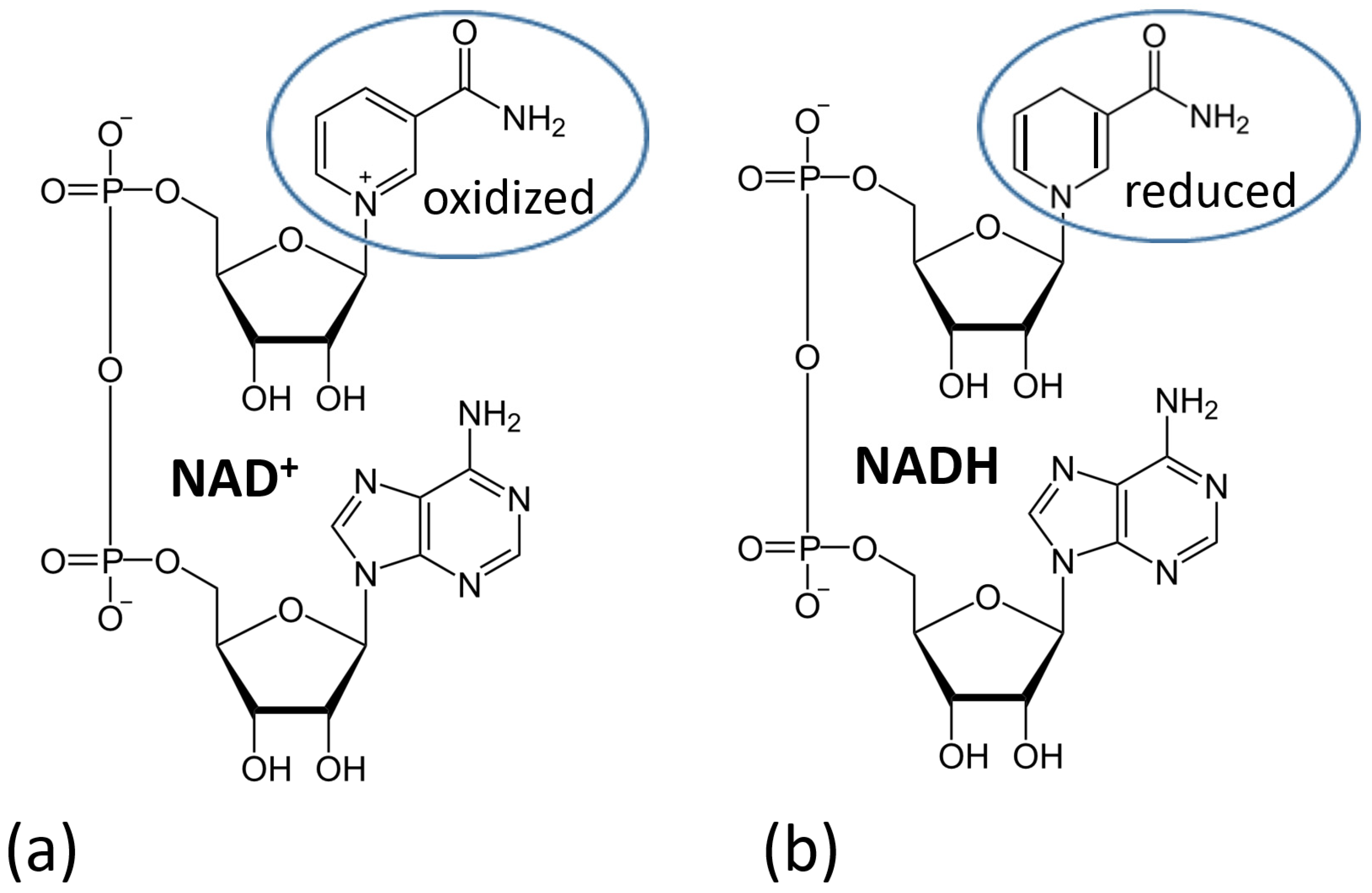 Biosensors 13 00044 g020 Biosensors 13 00044 g020