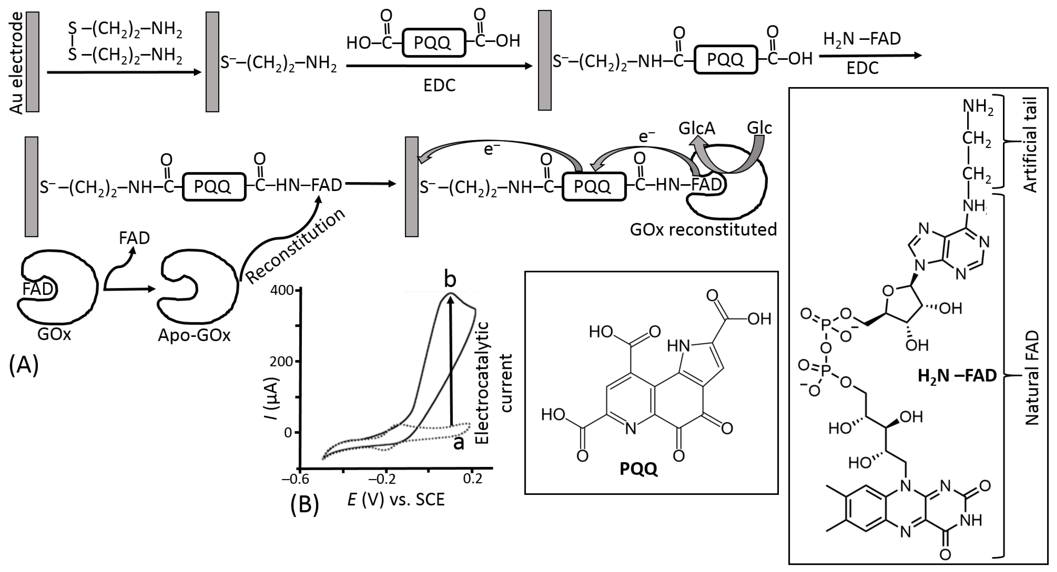 Biosensors 13 00044 g022 Biosensors 13 00044 g022