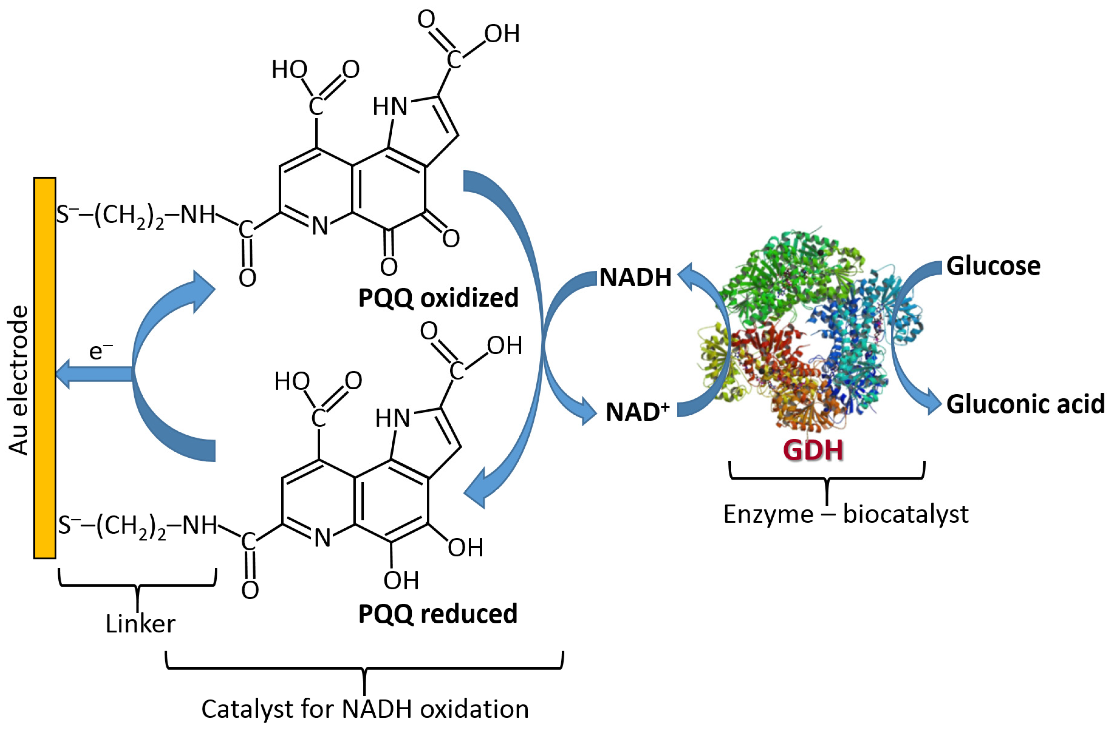 Biosensors 13 00044 g023 Biosensors 13 00044 g023
