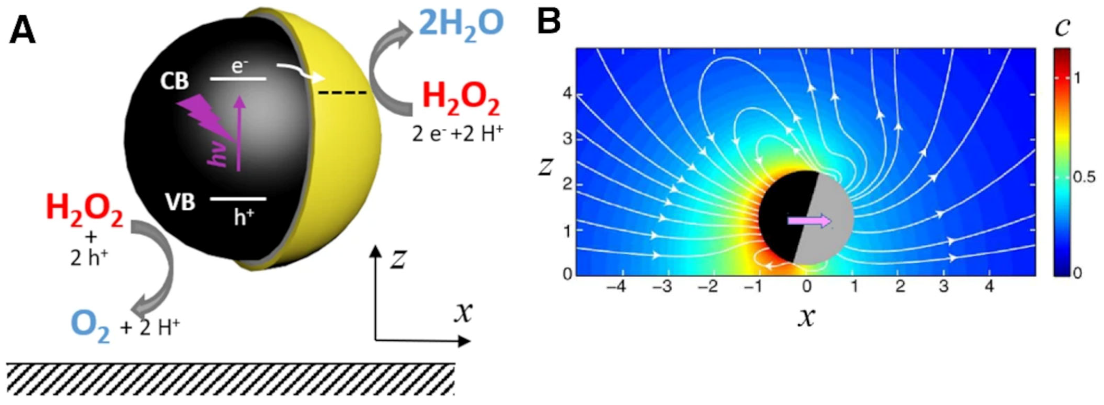 Biosensors 13 00045 g001 Biosensors 13 00045 g001