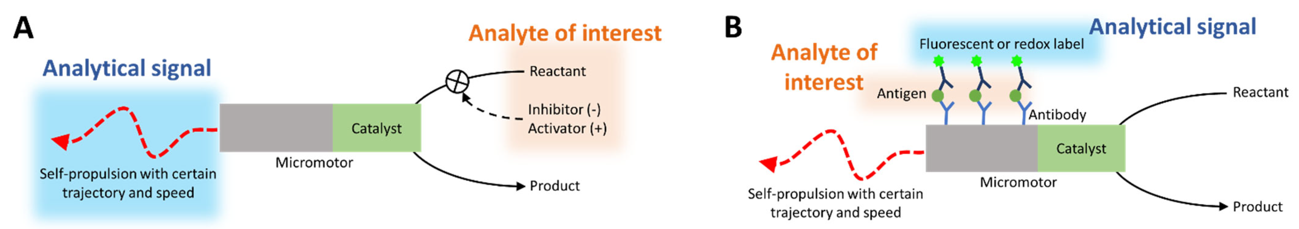 Biosensors 13 00045 g002 Biosensors 13 00045 g002