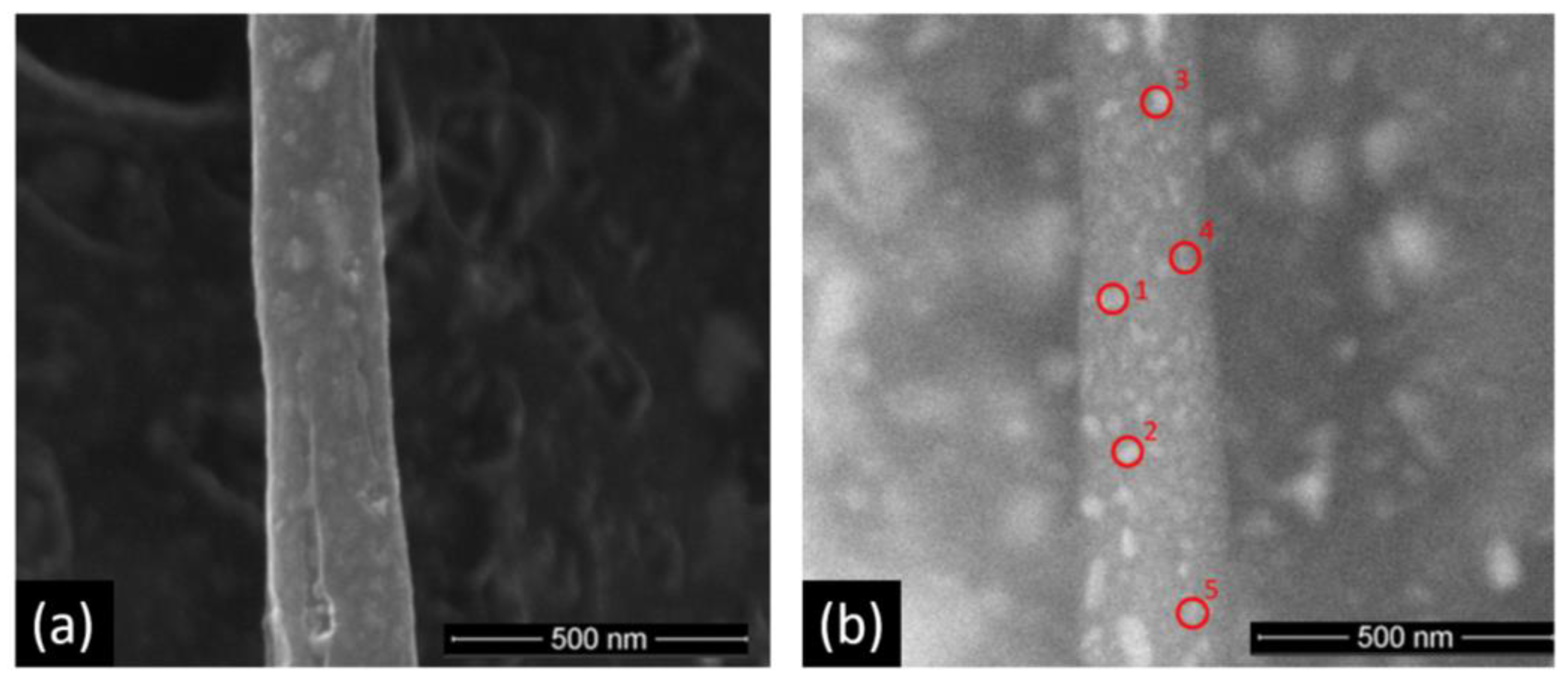 Biosensors 13 00049 g002 Biosensors 13 00049 g002