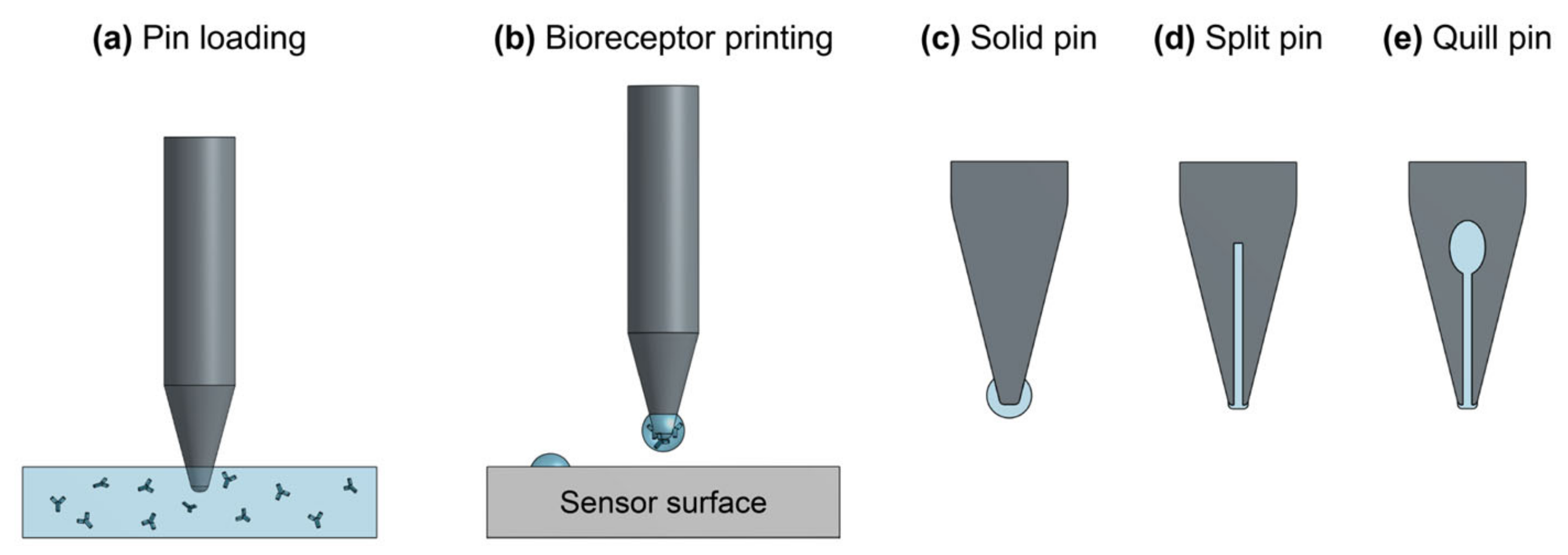 Biosensors 13 00053 g018 Biosensors 13 00053 g018