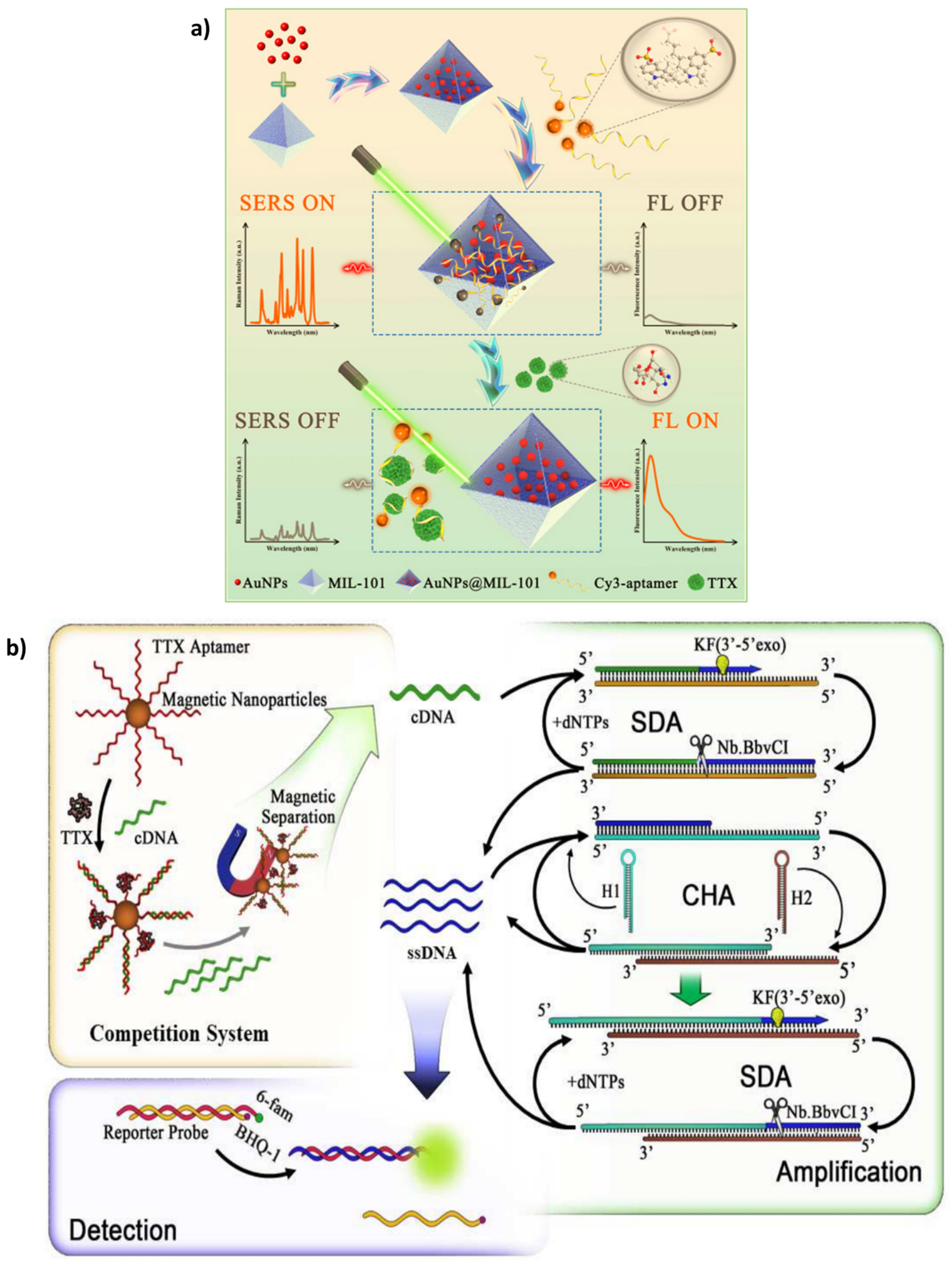 Biosensors 13 00056 g003 Biosensors 13 00056 g003