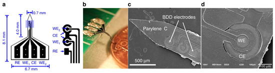 Recent Development of Neural Microelectrodes with Dual-Mode