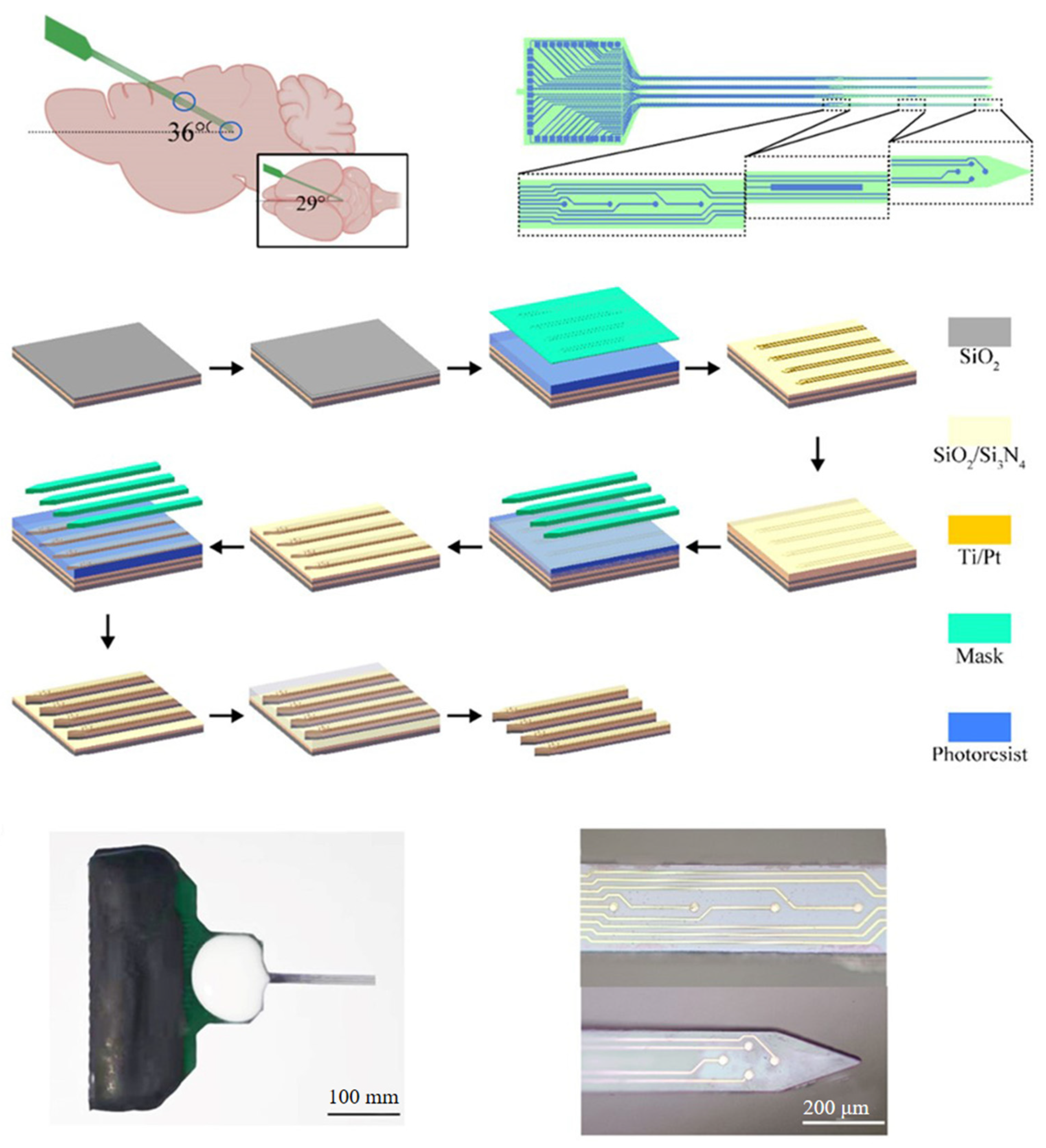 Biosensors 13 00059 g007