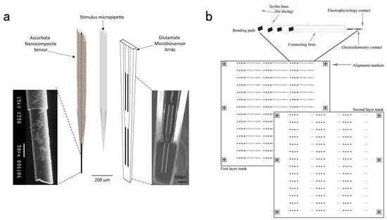 Recent Development of Neural Microelectrodes with Dual-Mode