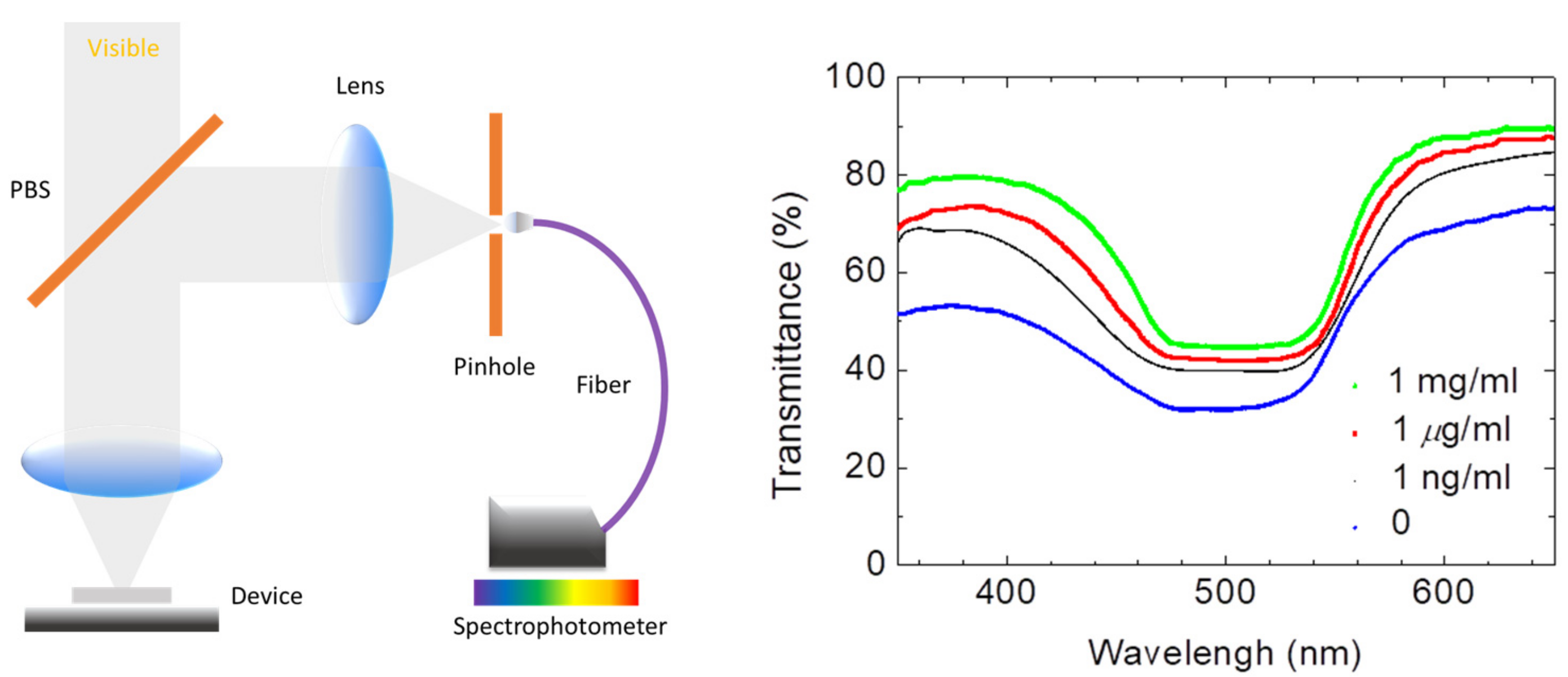Biosensors 13 00060 g004