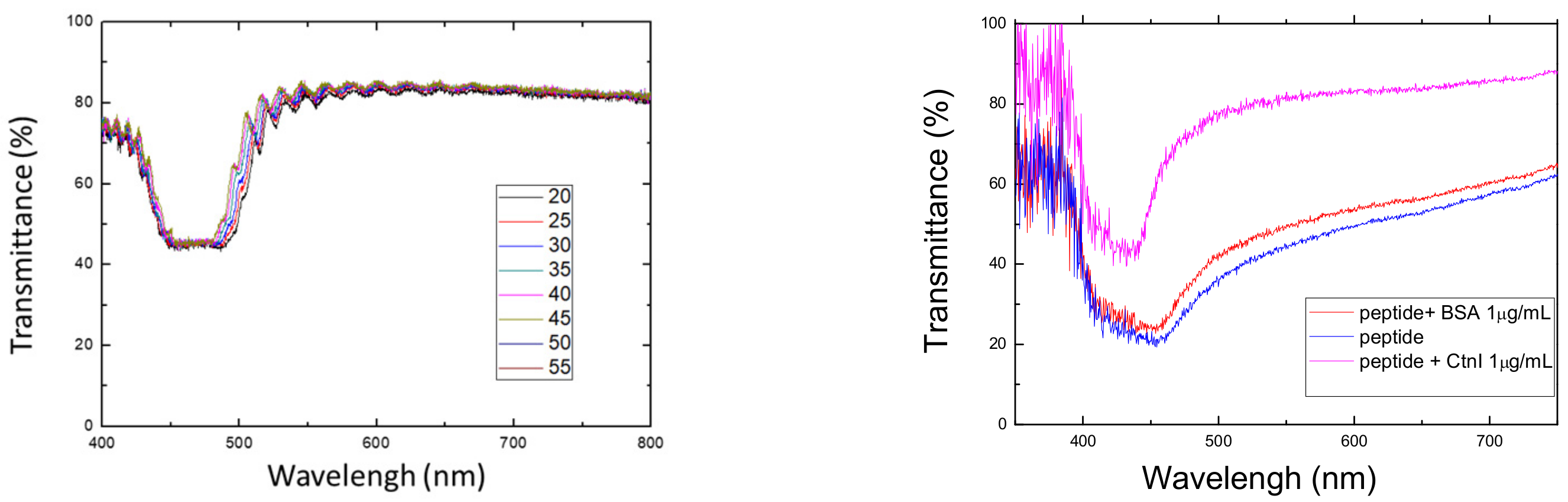 Biosensors 13 00060 g008