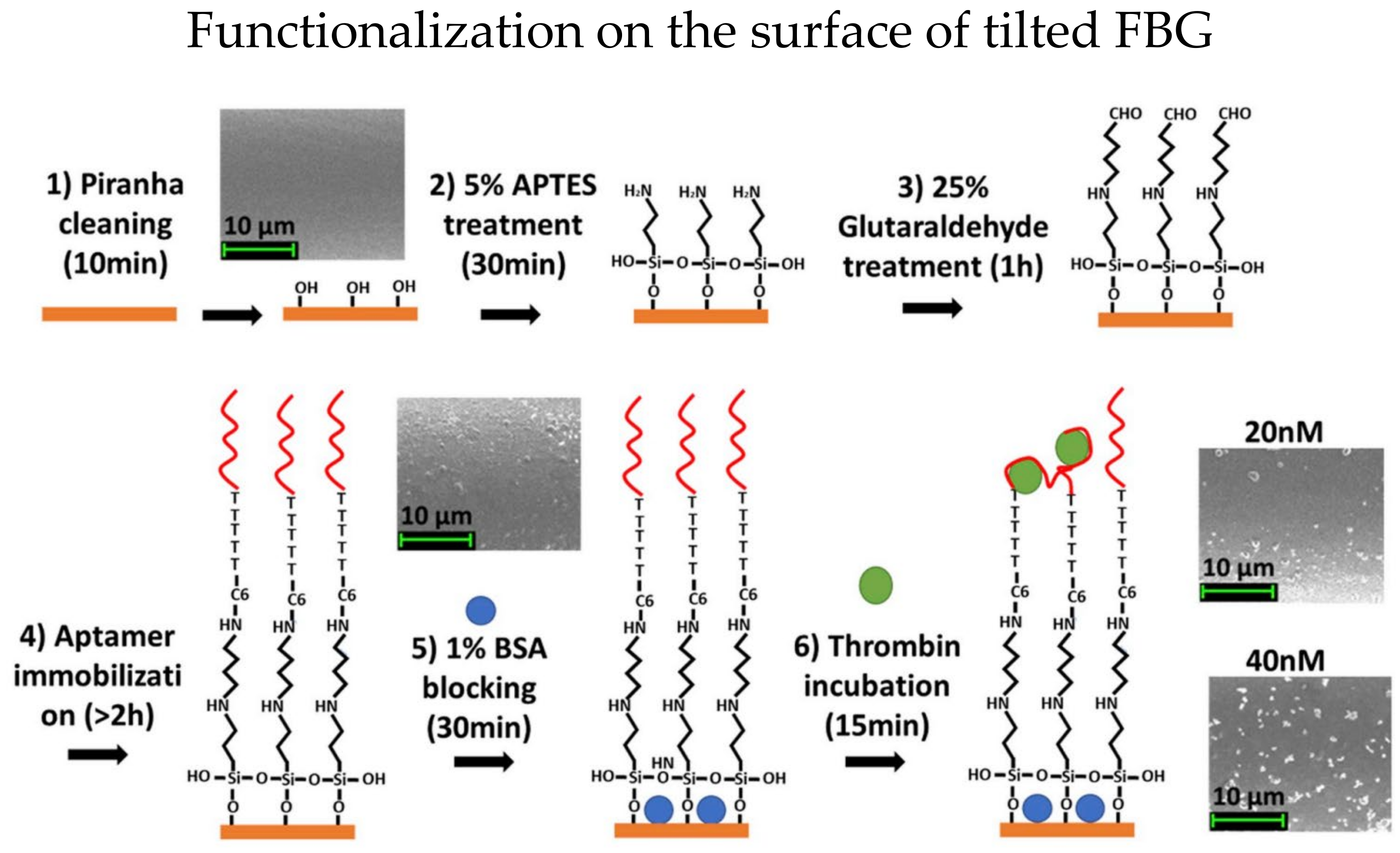 Biosensors 13 00064 g003 Biosensors 13 00064 g003