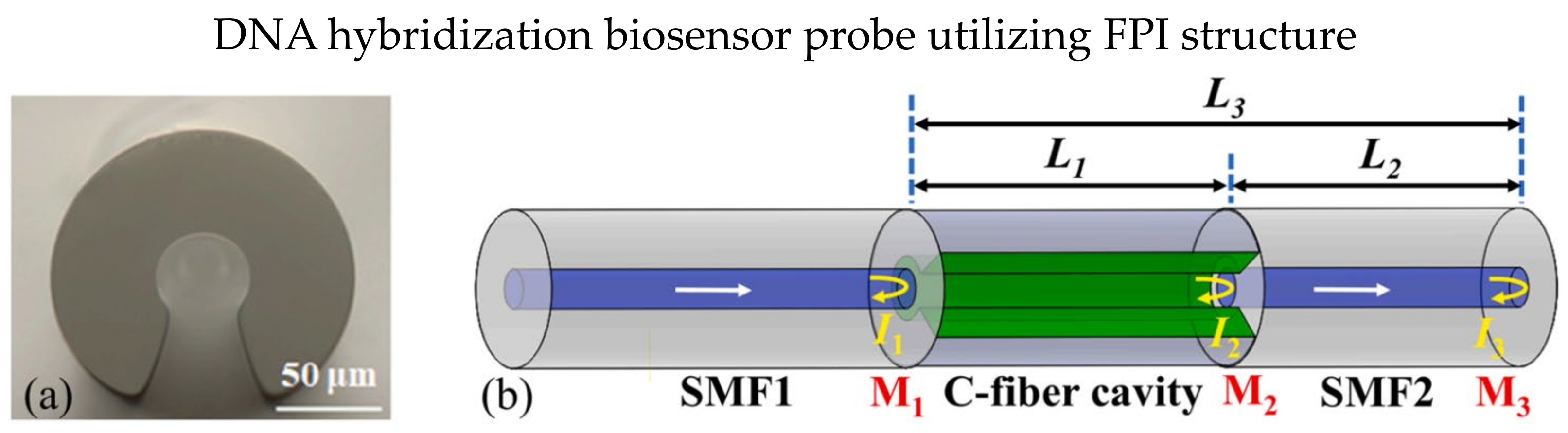 Biosensors 13 00064 g013 Biosensors 13 00064 g013