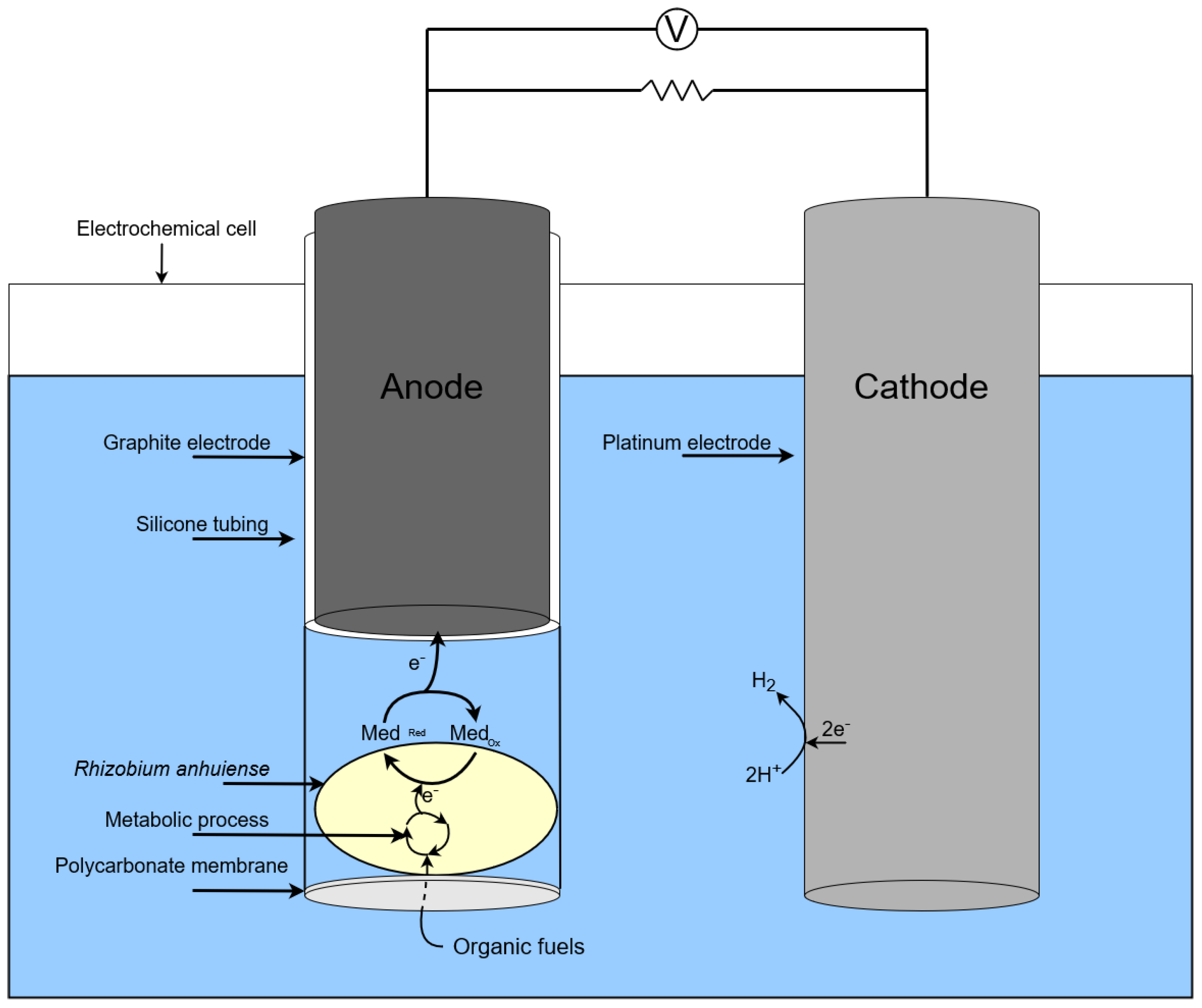 Biosensors 13 00066 g003