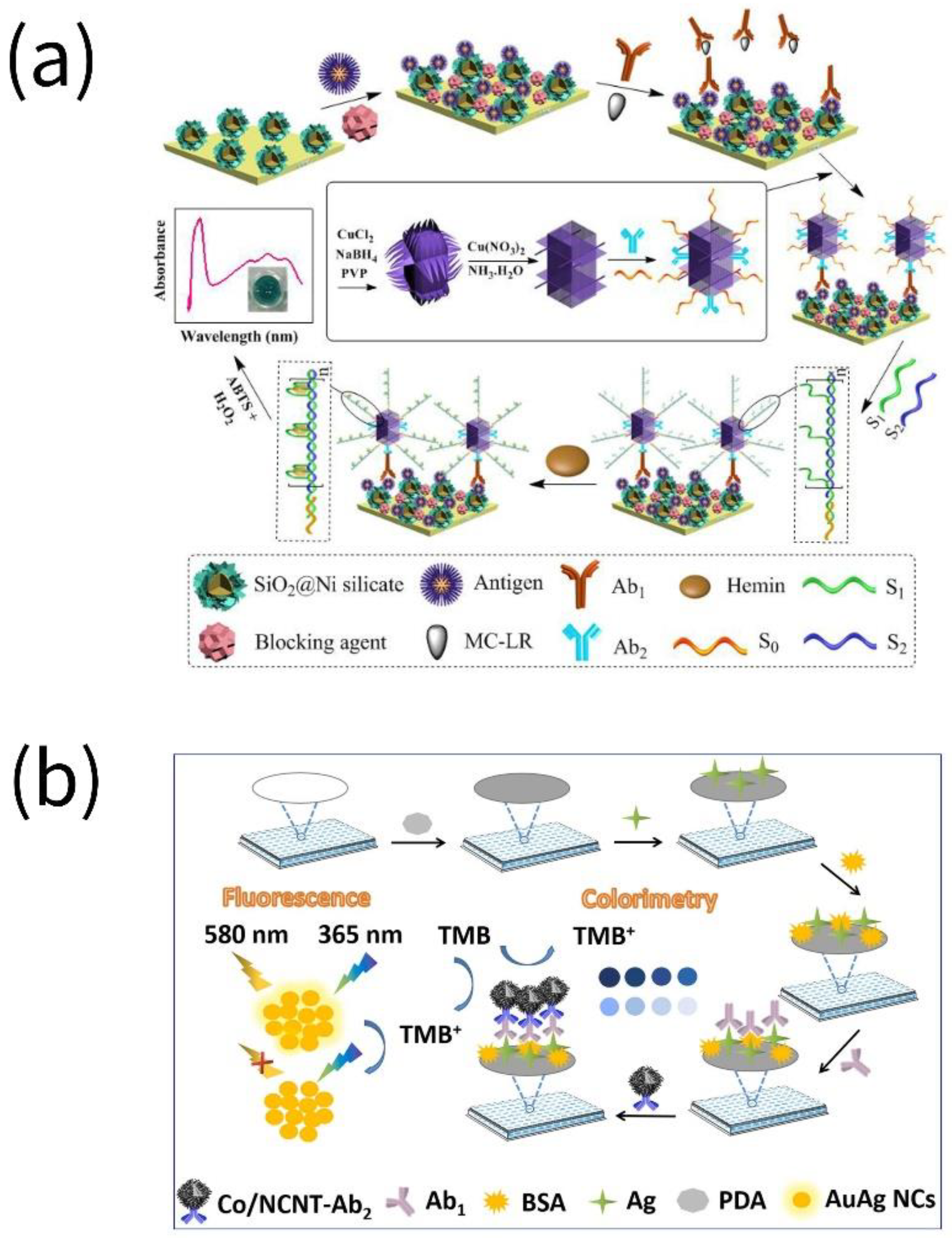 Biosensors 13 00069 g002 Biosensors 13 00069 g002