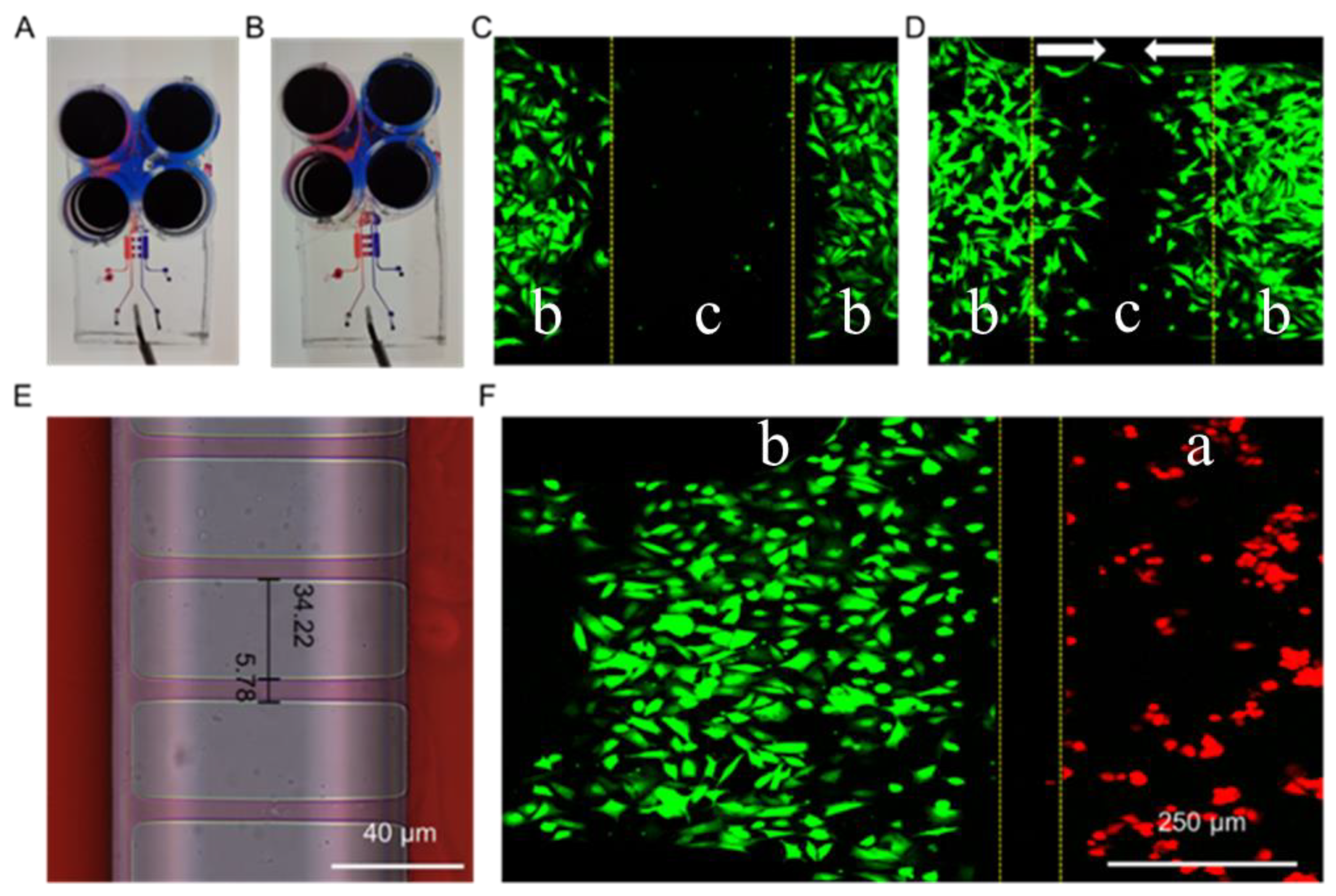 Biosensors 13 00070 g002 Biosensors 13 00070 g002