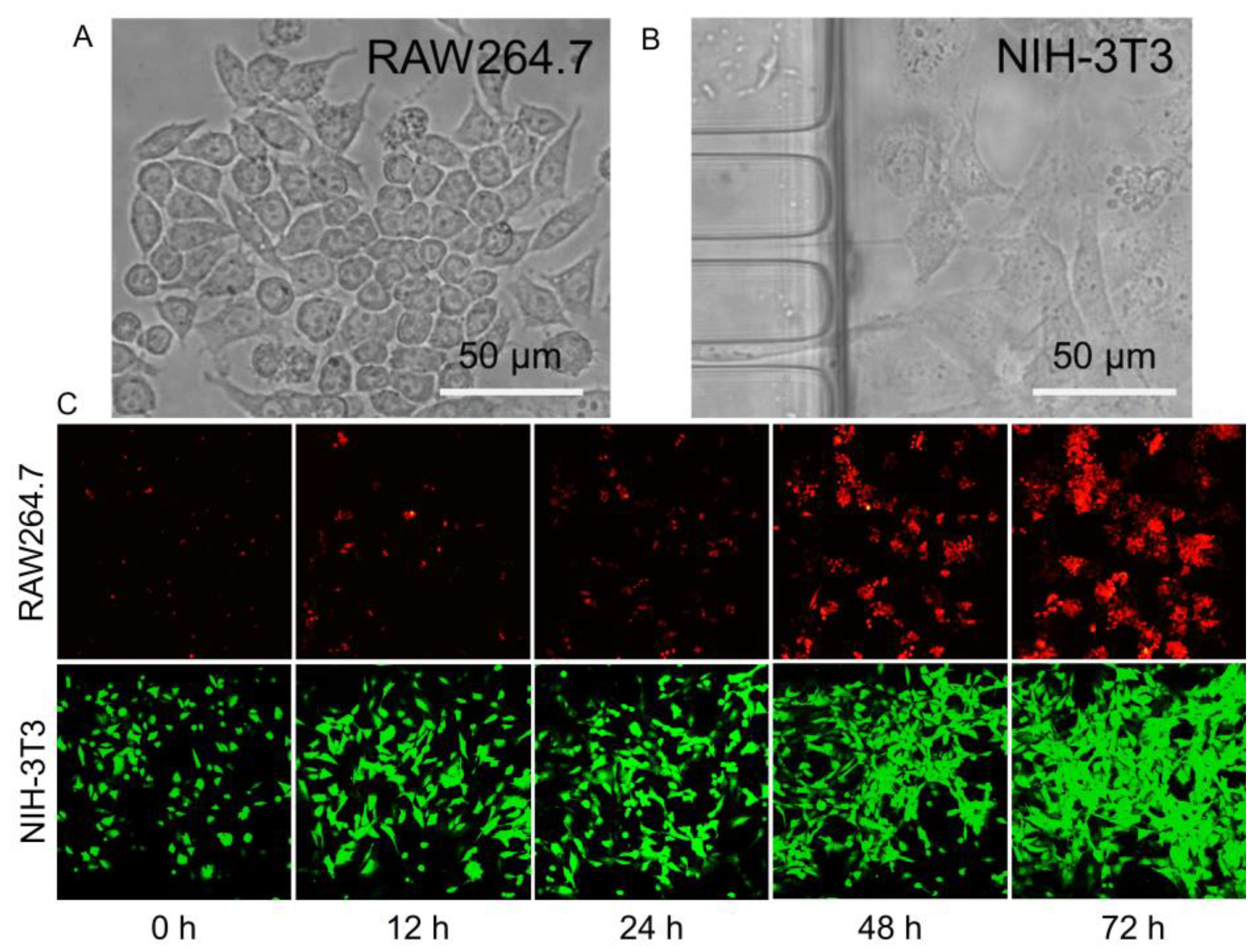 Biosensors 13 00070 g003 Biosensors 13 00070 g003