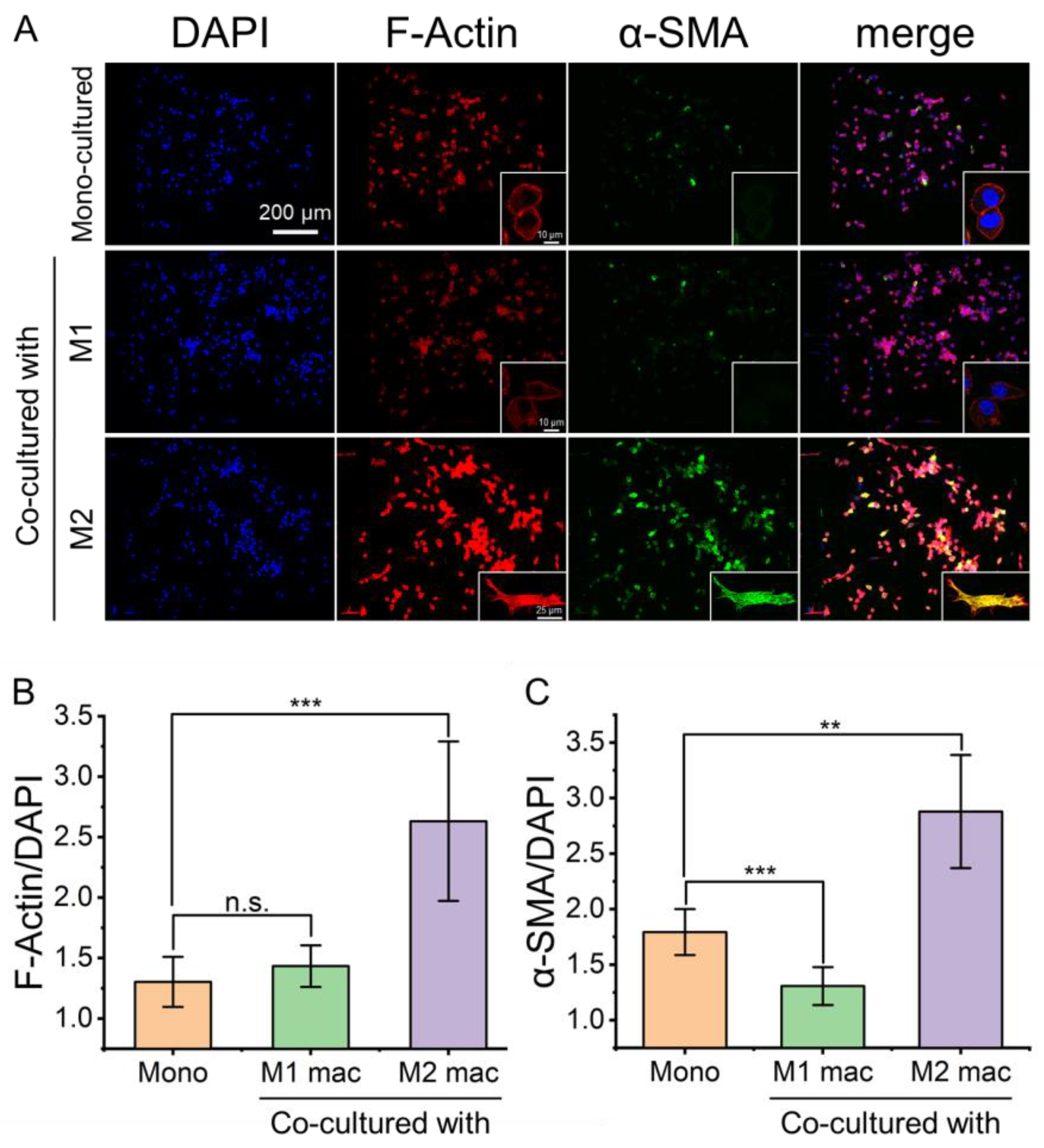 Biosensors 13 00070 g005 Biosensors 13 00070 g005