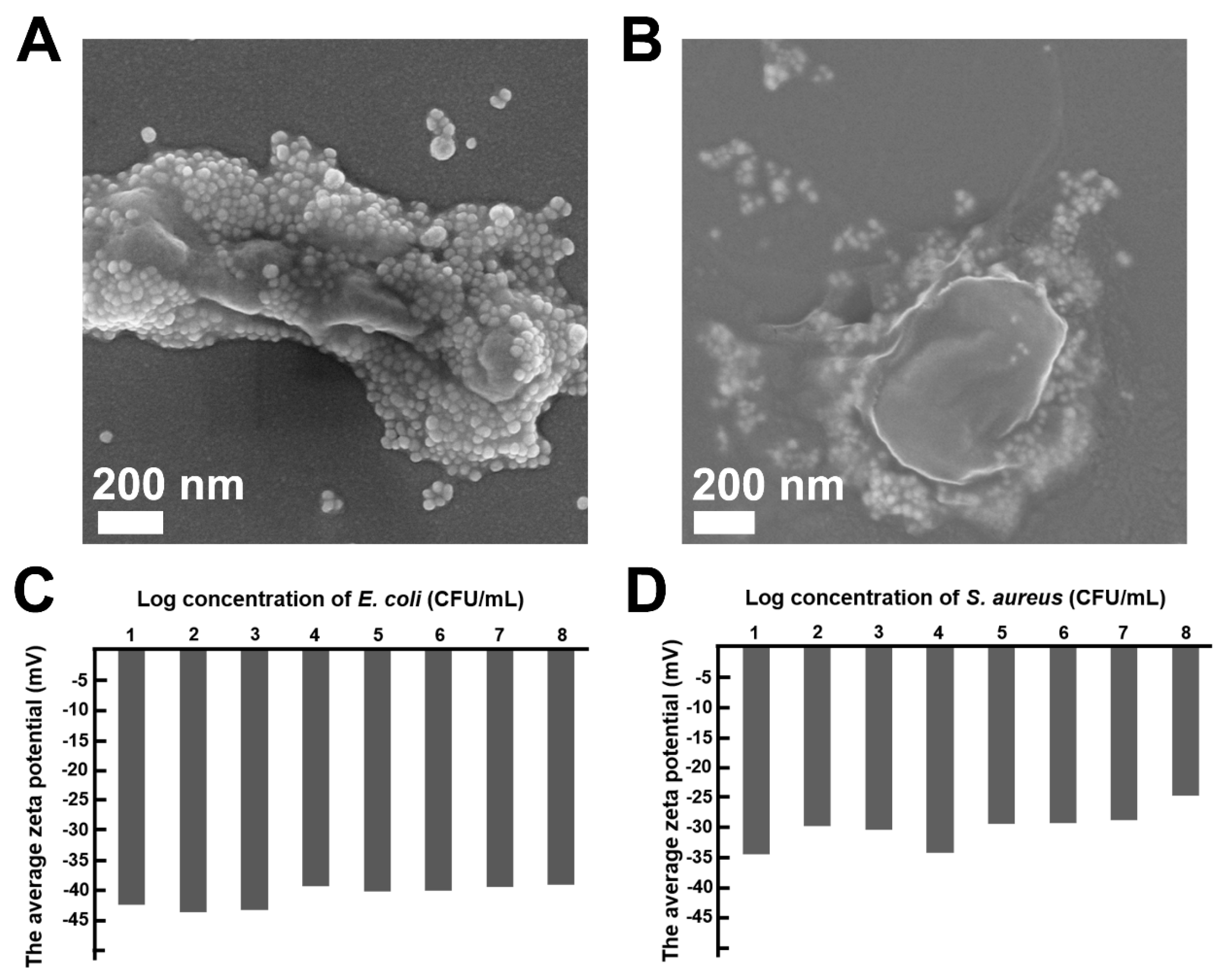 Biosensors 13 00075 g003 Biosensors 13 00075 g003