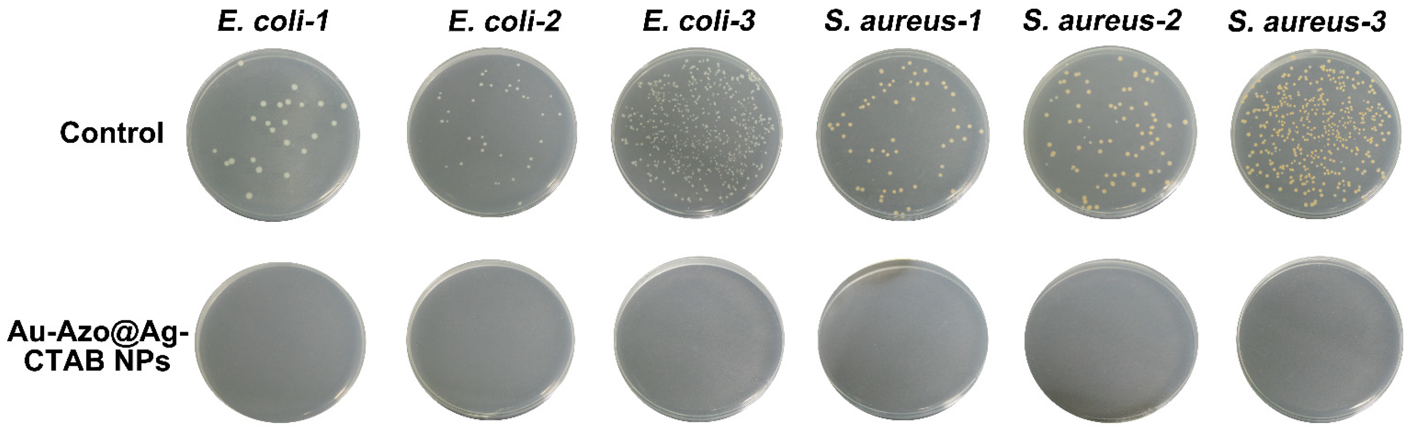 Biosensors 13 00075 g005 Biosensors 13 00075 g005