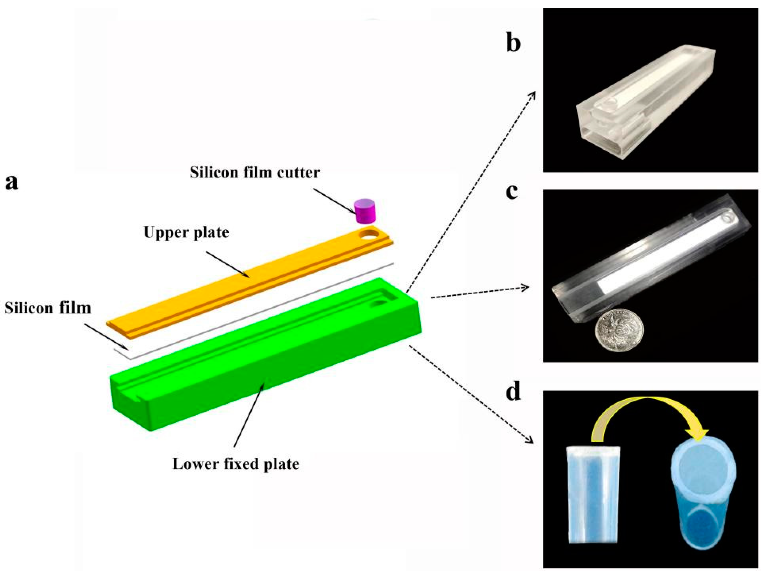 Biosensors 13 00082 g001