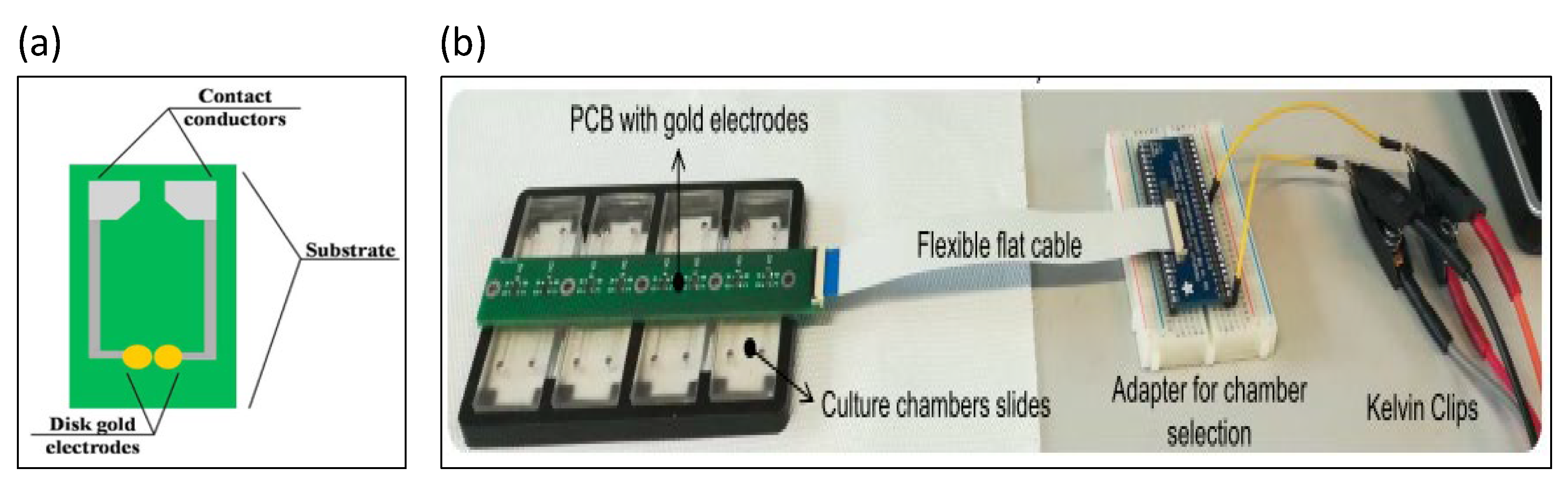 Biosensors 13 00083 g002 Biosensors 13 00083 g002