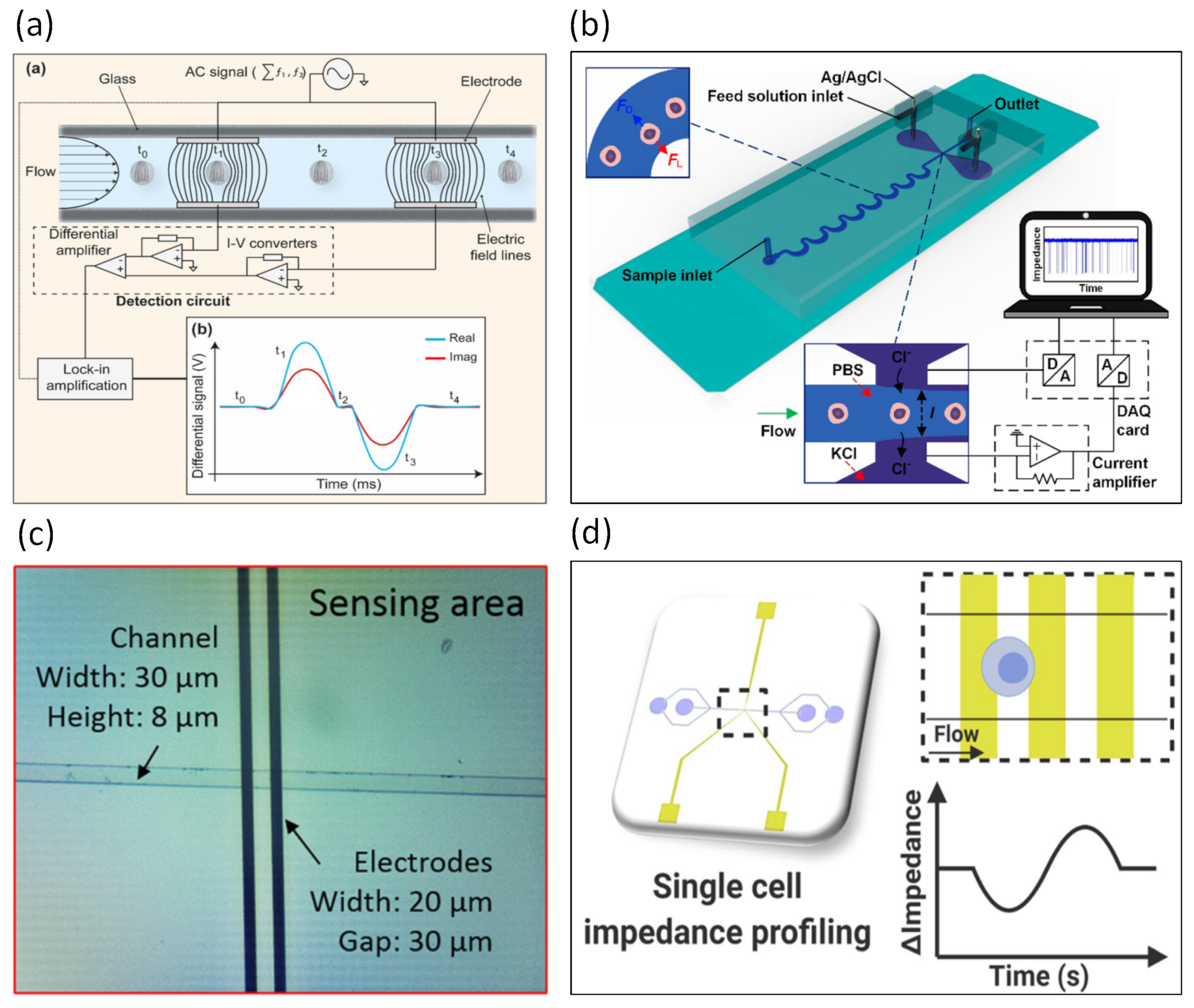 Biosensors 13 00083 g007 Biosensors 13 00083 g007