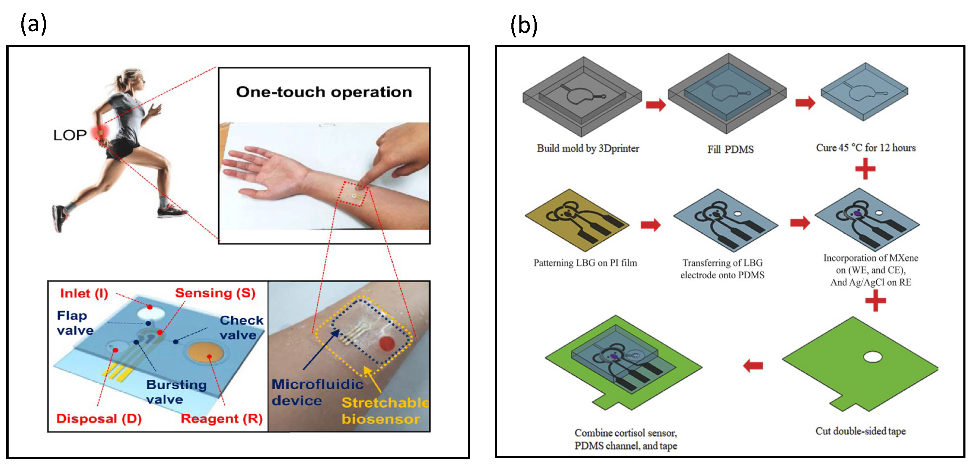 Biosensors 13 00083 g010 Biosensors 13 00083 g010