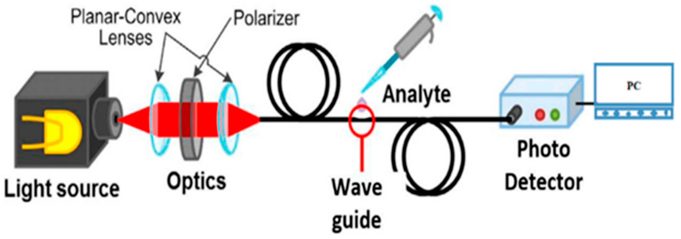 Biosensors 13 00085 g006