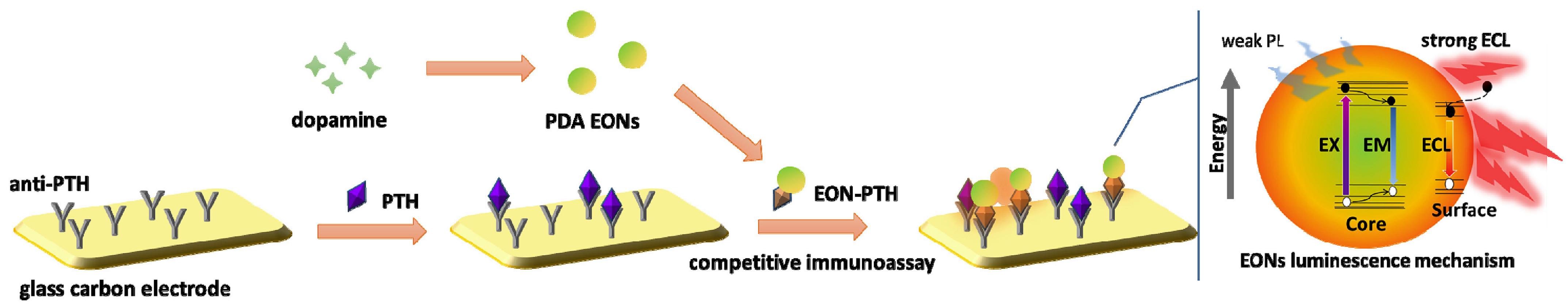 Biosensors 13 00085 g013