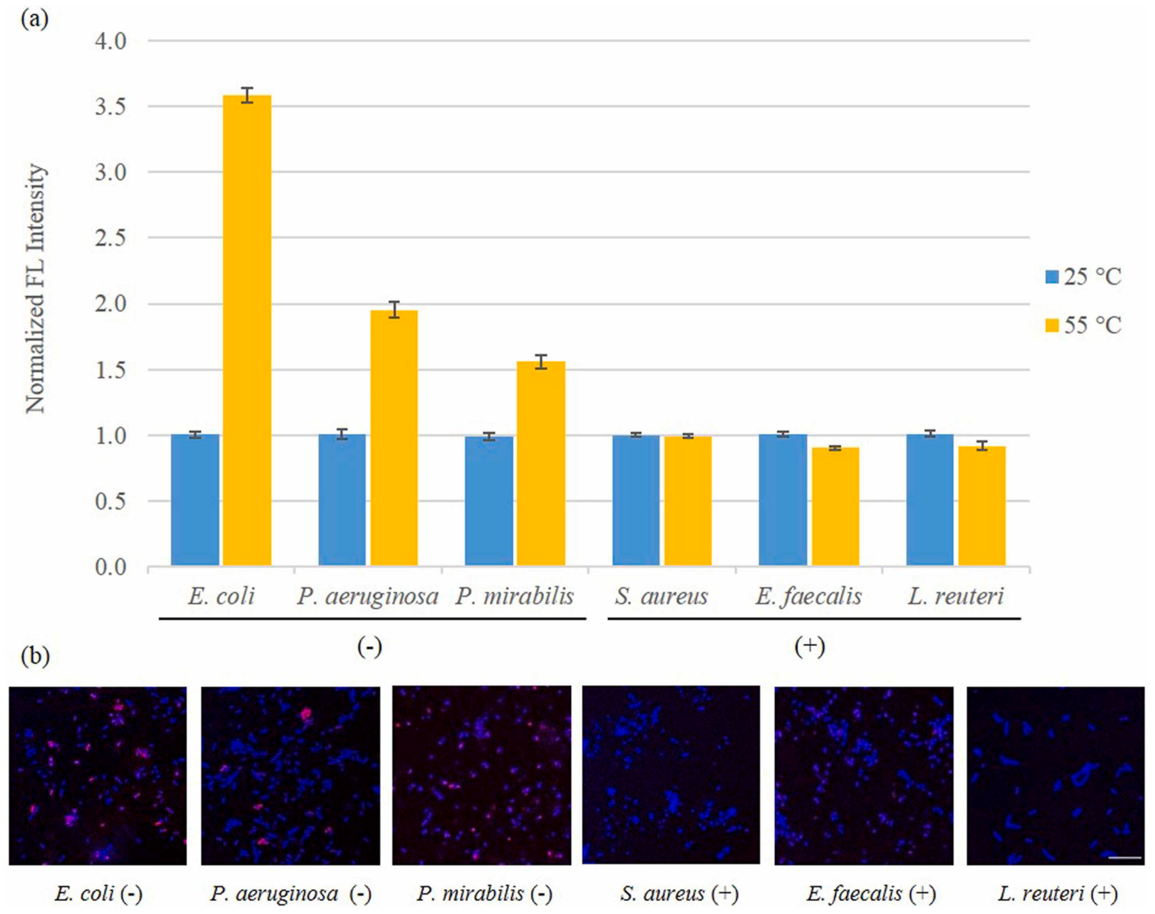 Biosensors 13 00085 g018