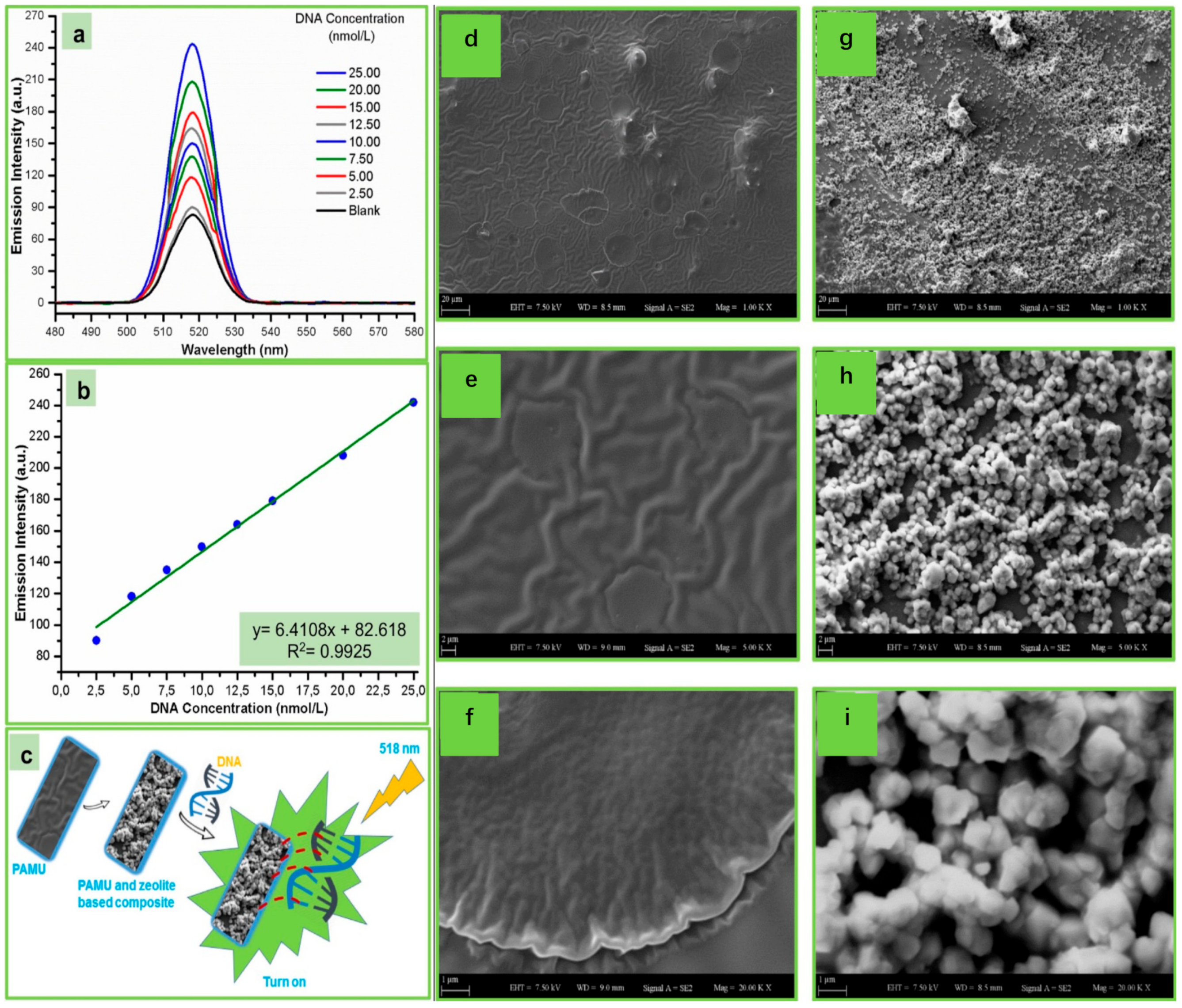 Biosensors 13 00085 g022