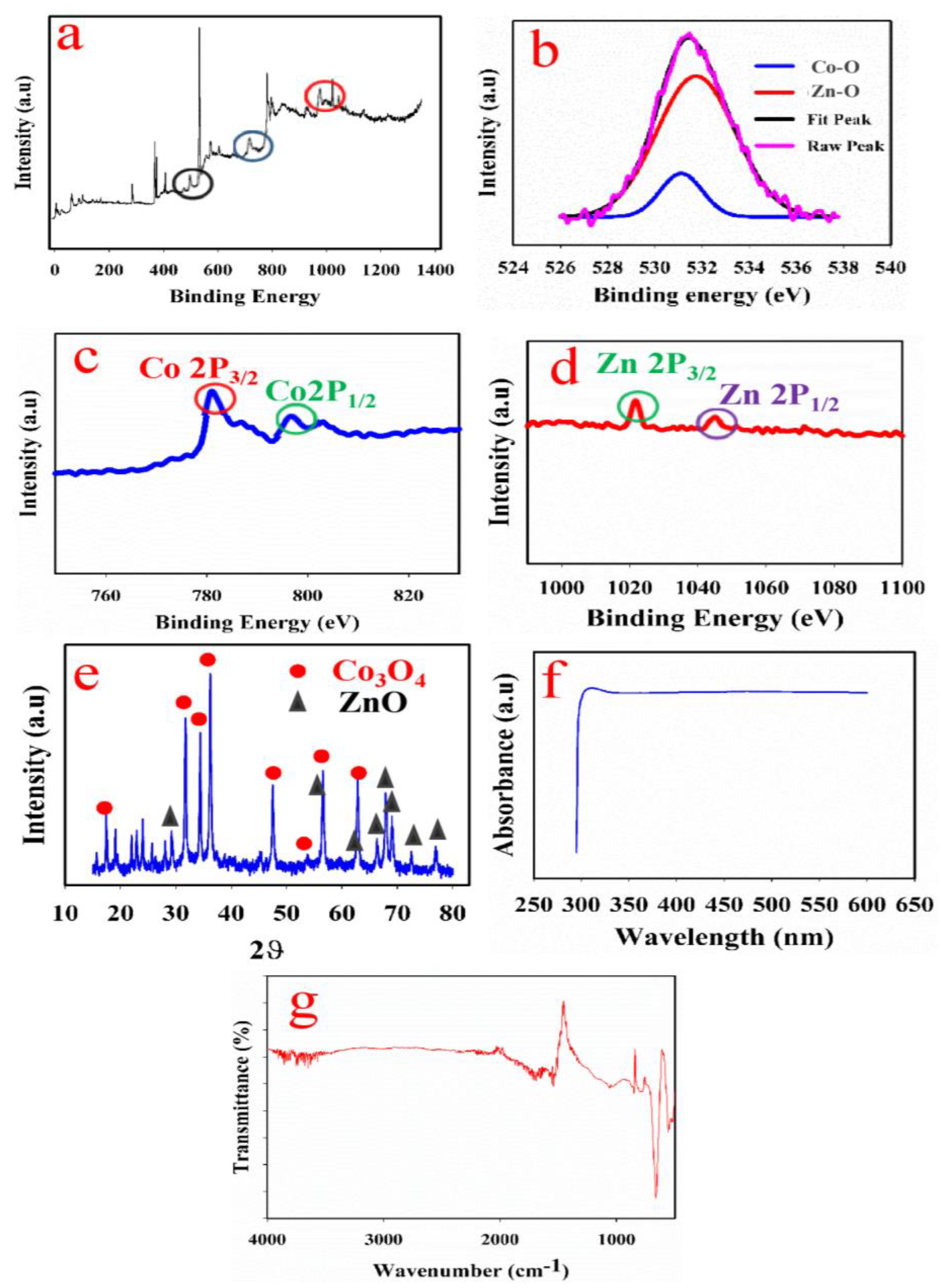Biosensors 13 00088 g002