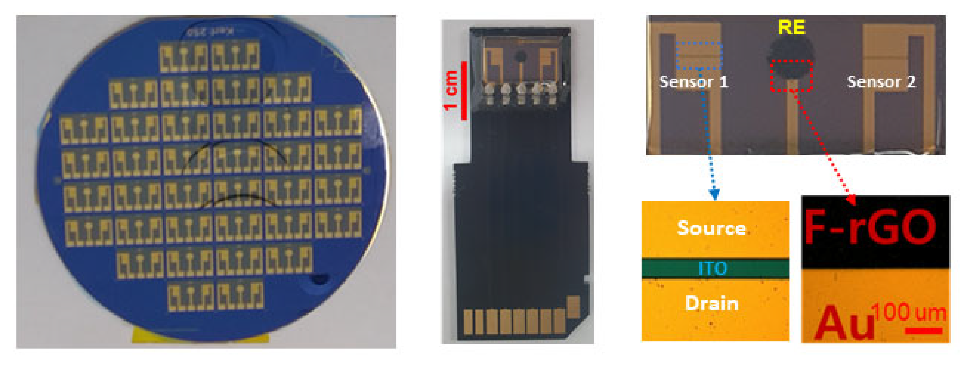 Biosensors 13 00089 g002 Biosensors 13 00089 g002