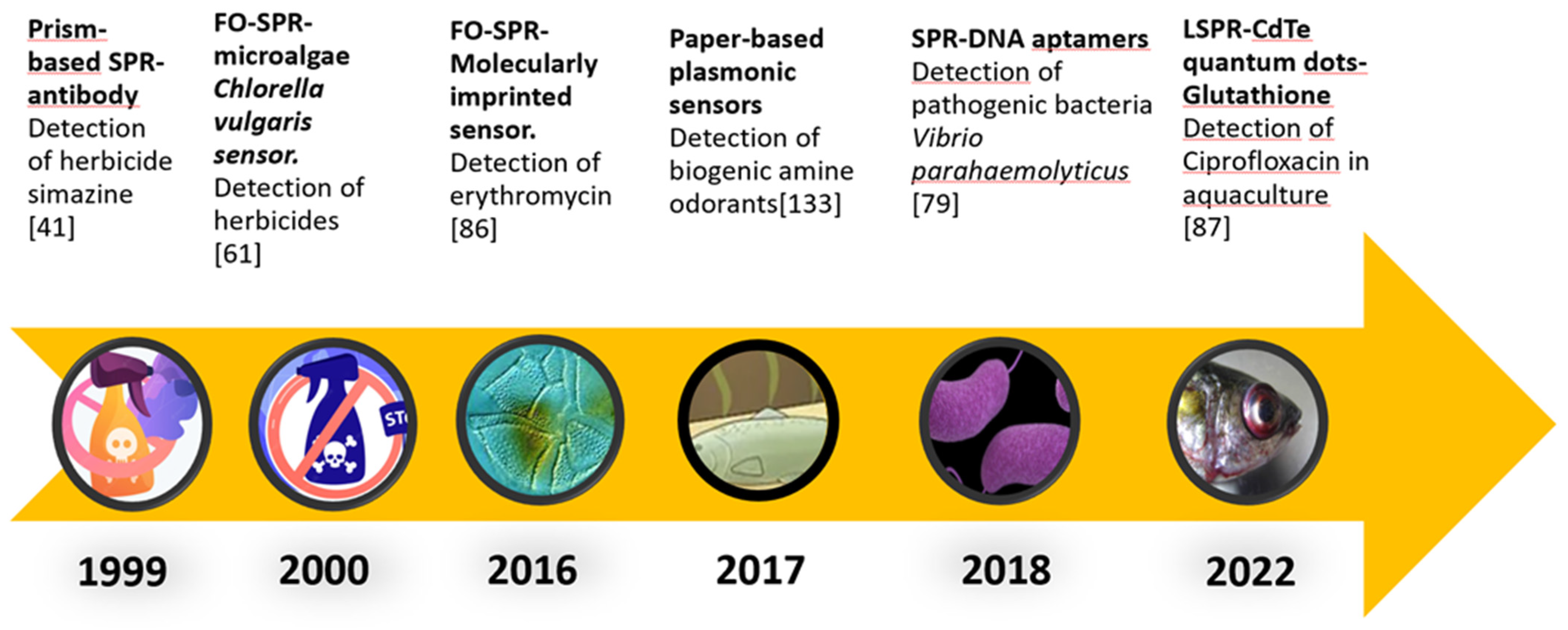 Biosensors 13 00090 g004 Biosensors 13 00090 g004
