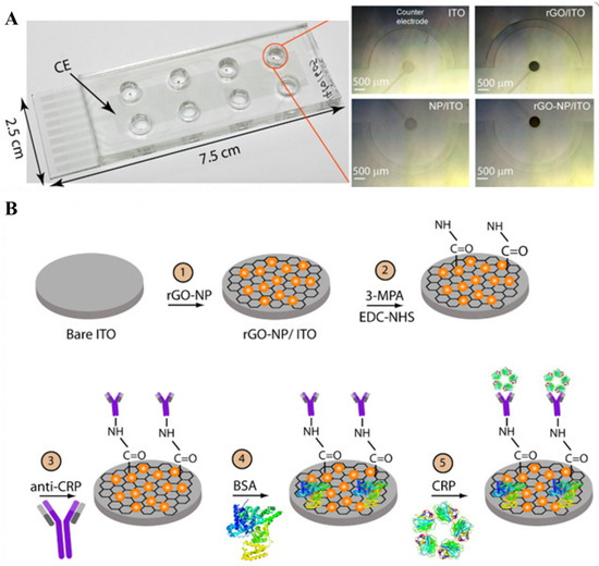 Design, Synthesis, and Biological Evaluation of 2