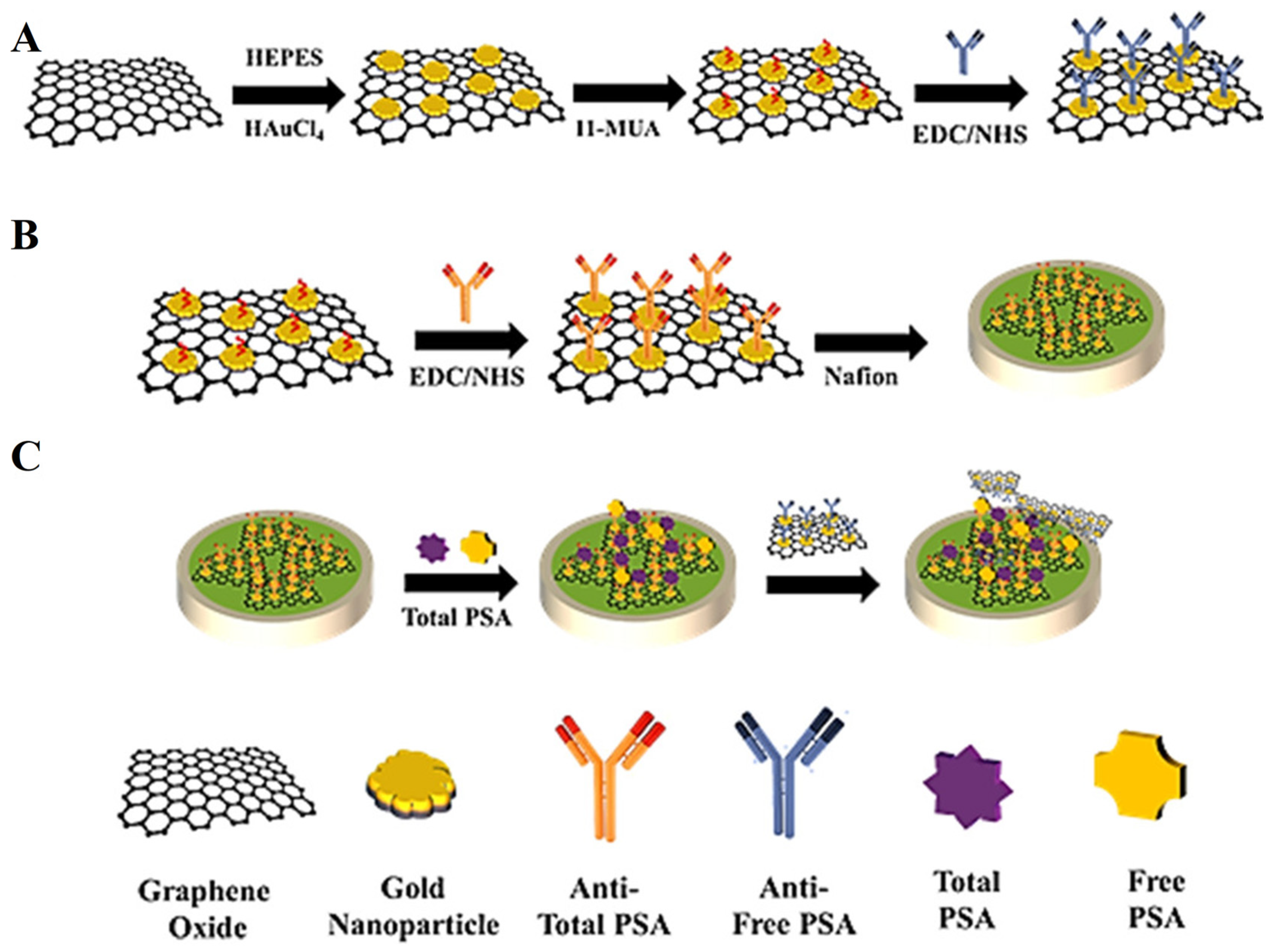 Biosensors 13 00091 g004 Biosensors 13 00091 g004