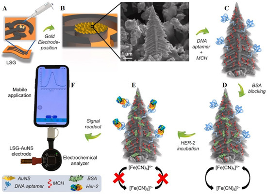 クリスマス en Recent Trends in Metal Nanoparticles Decorated 2D Materials for