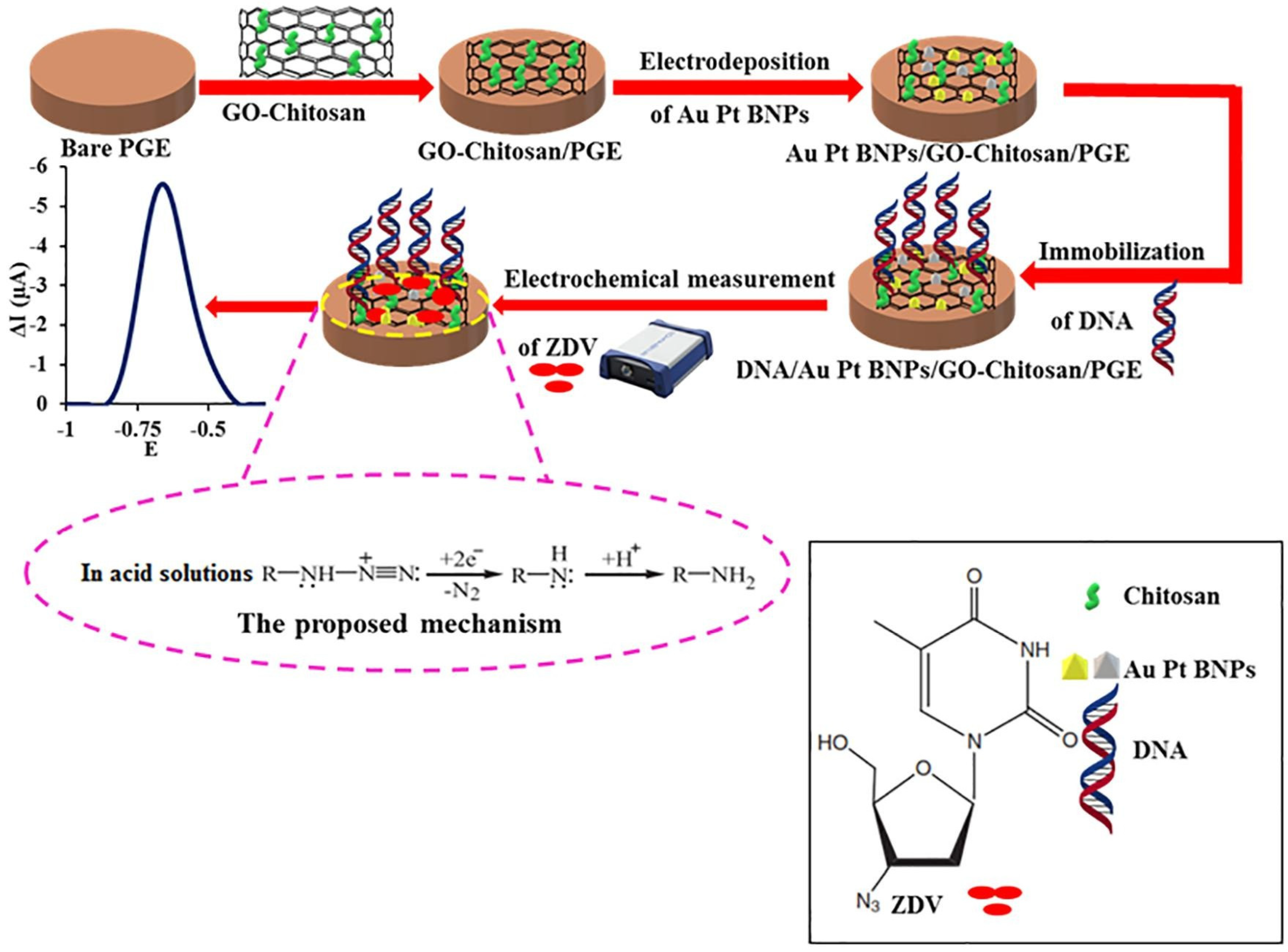 Biosensors 13 00091 g007 Biosensors 13 00091 g007