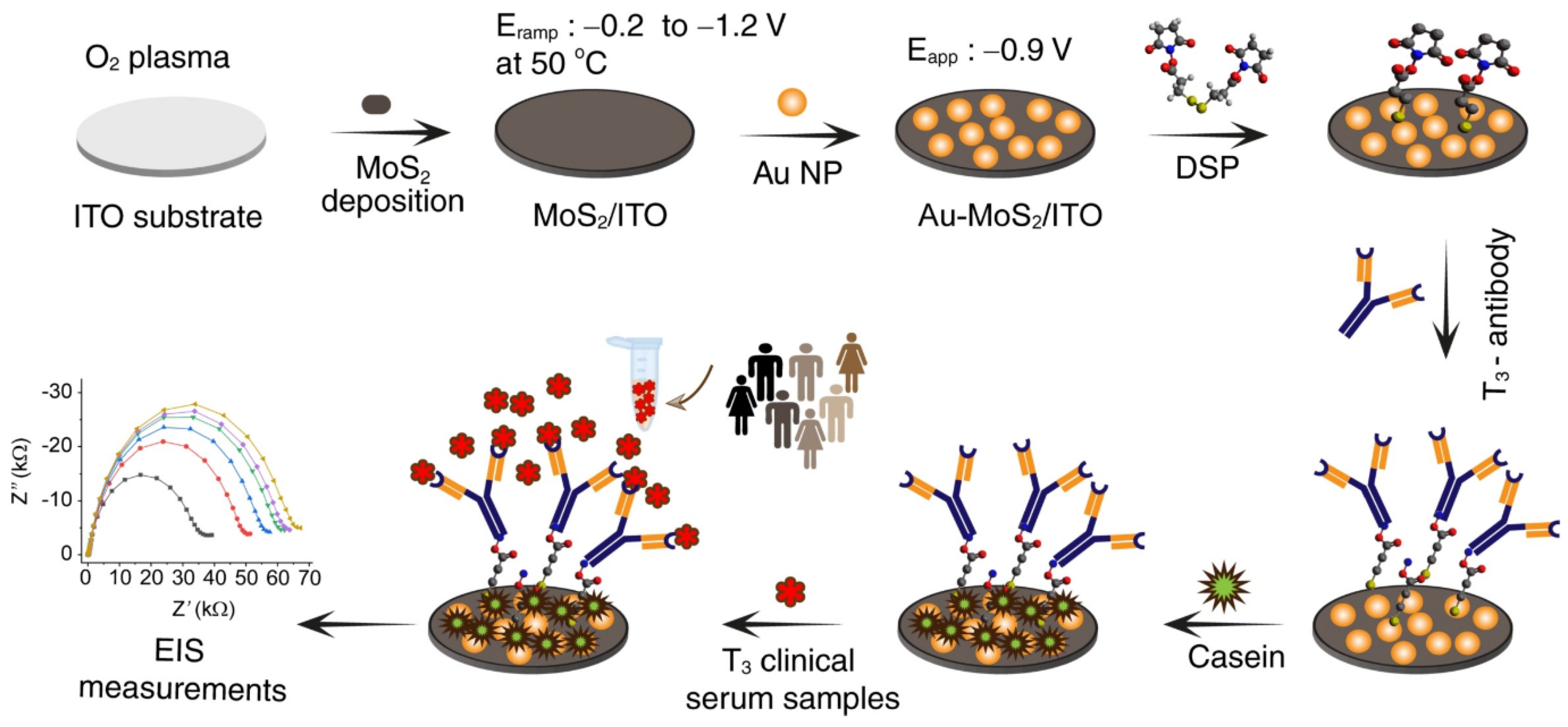 Biosensors 13 00091 g010 Biosensors 13 00091 g010