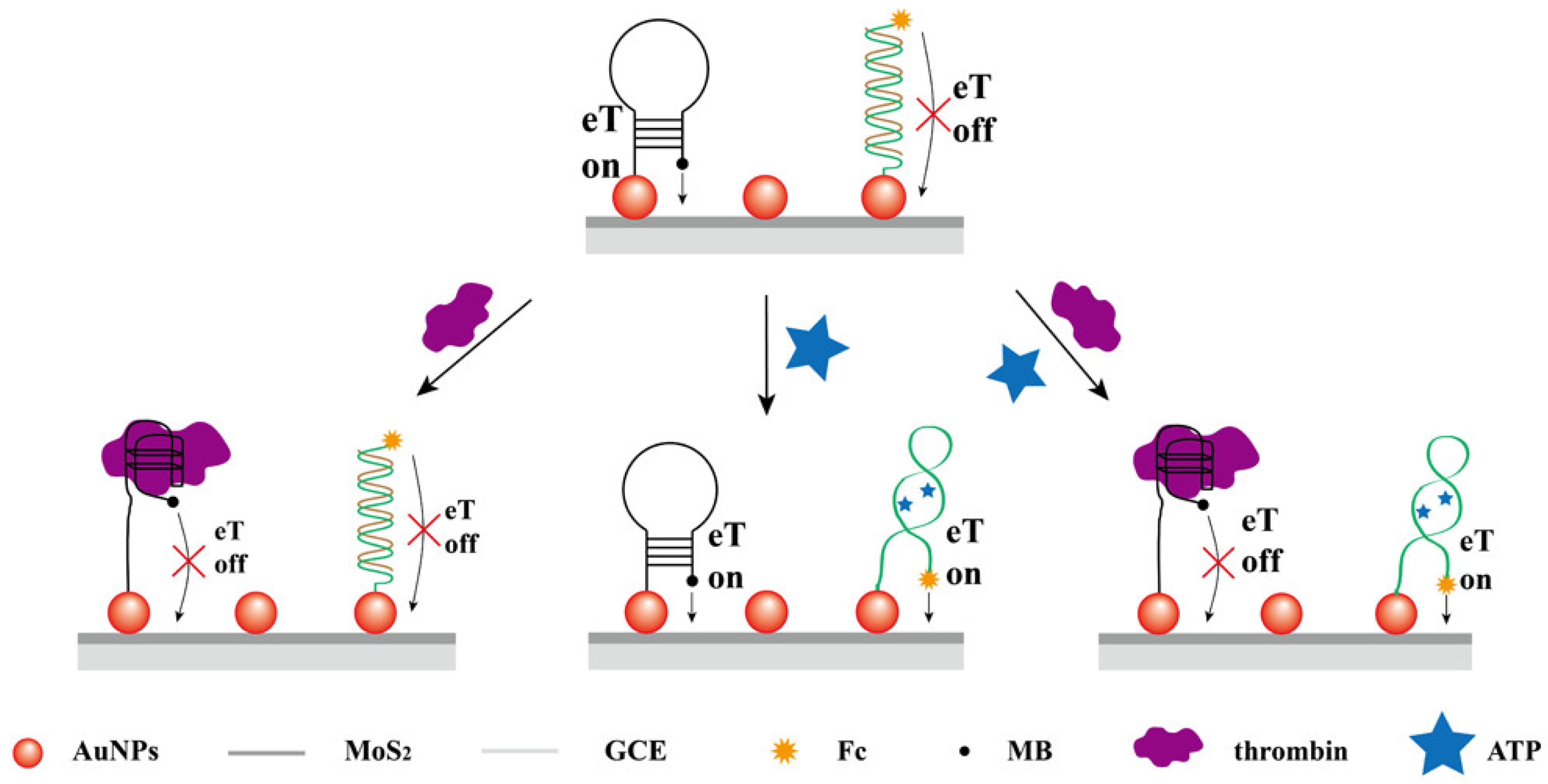 Biosensors 13 00091 g011 Biosensors 13 00091 g011
