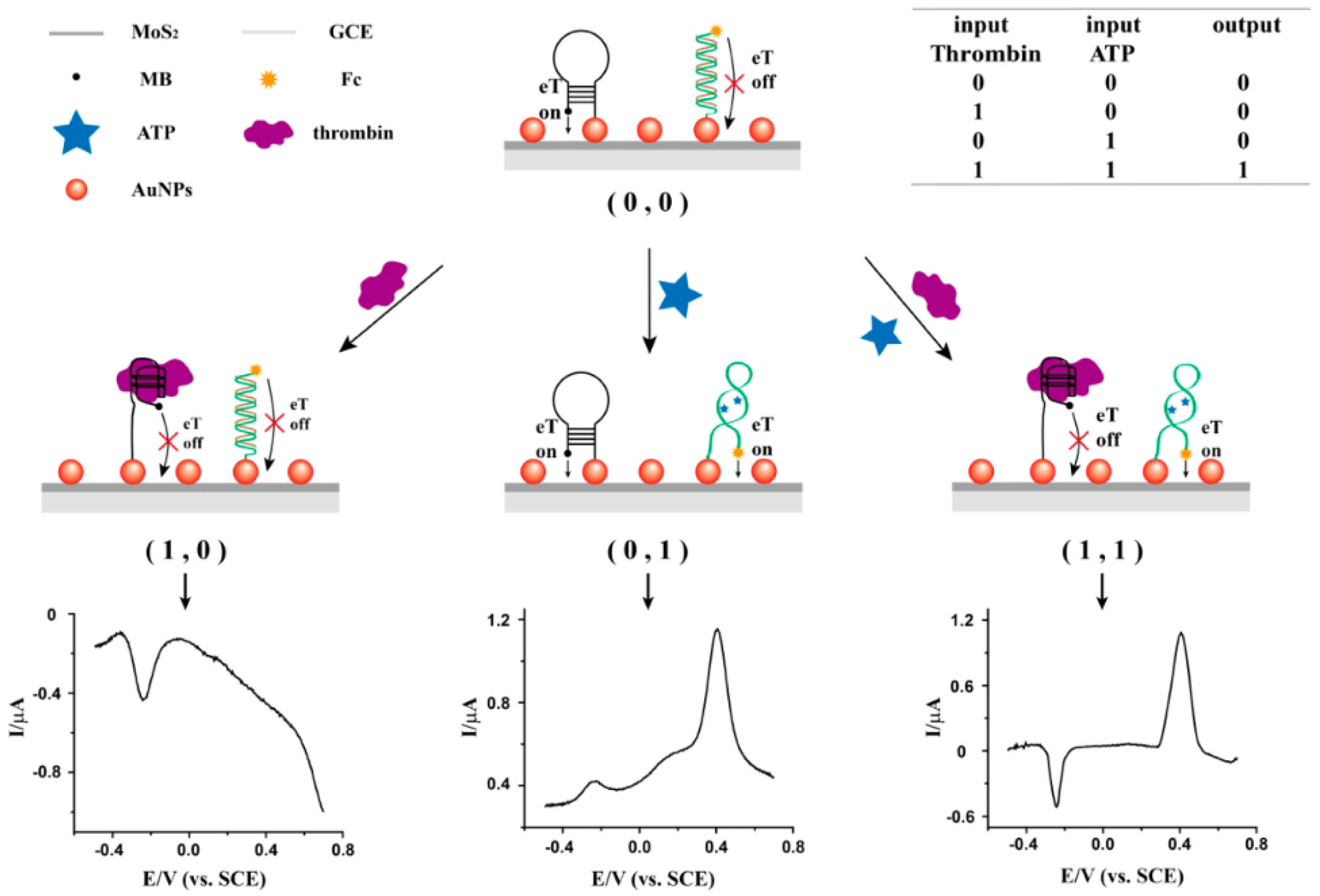 Biosensors 13 00091 g012 Biosensors 13 00091 g012