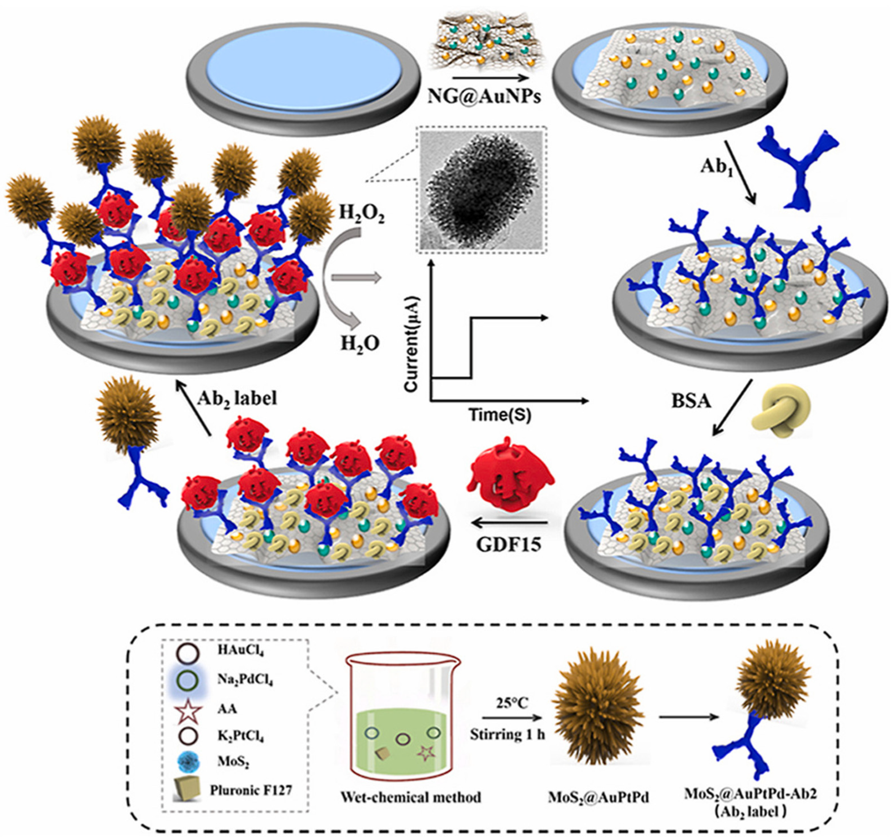 Biosensors 13 00091 g013 Biosensors 13 00091 g013